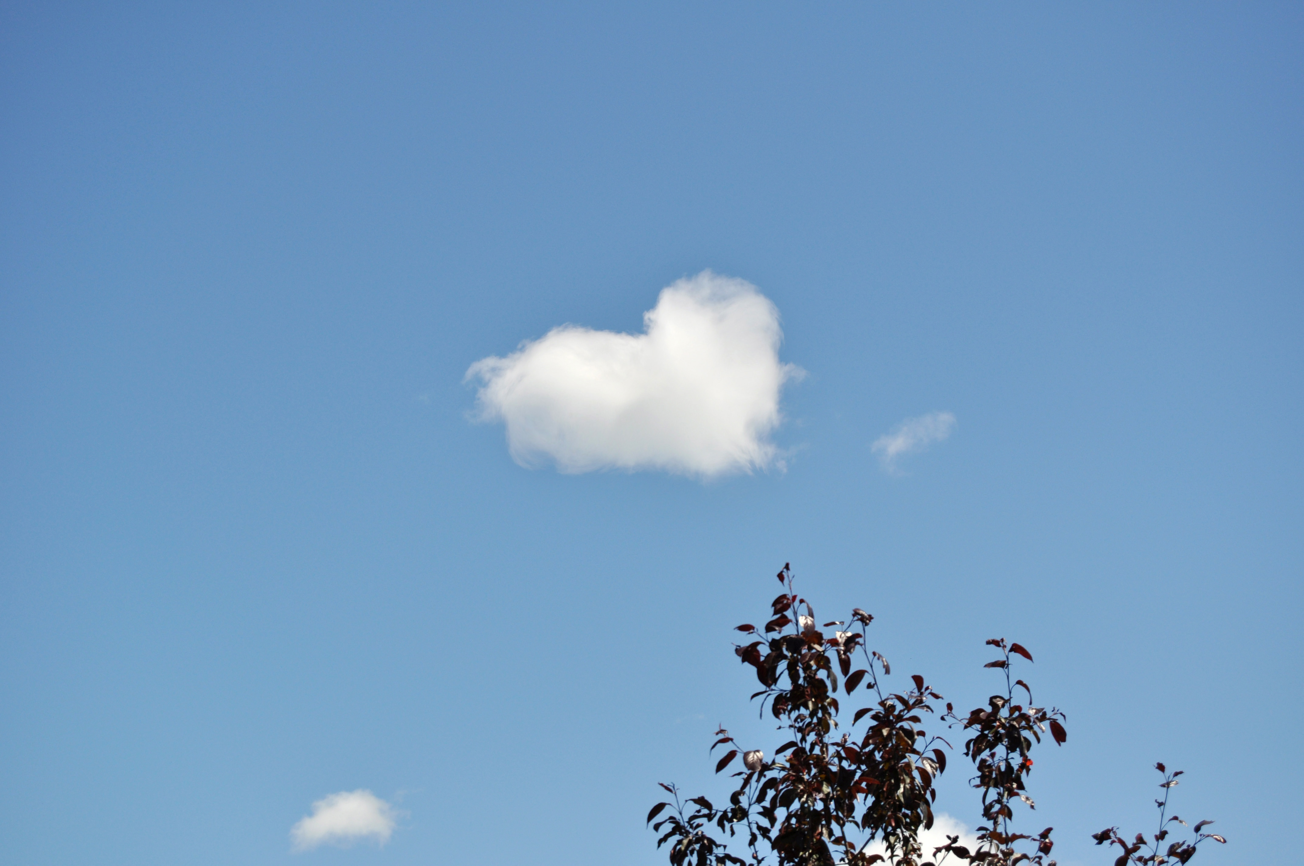 Ett moln har formen av ett hjärta på den blå himlen.