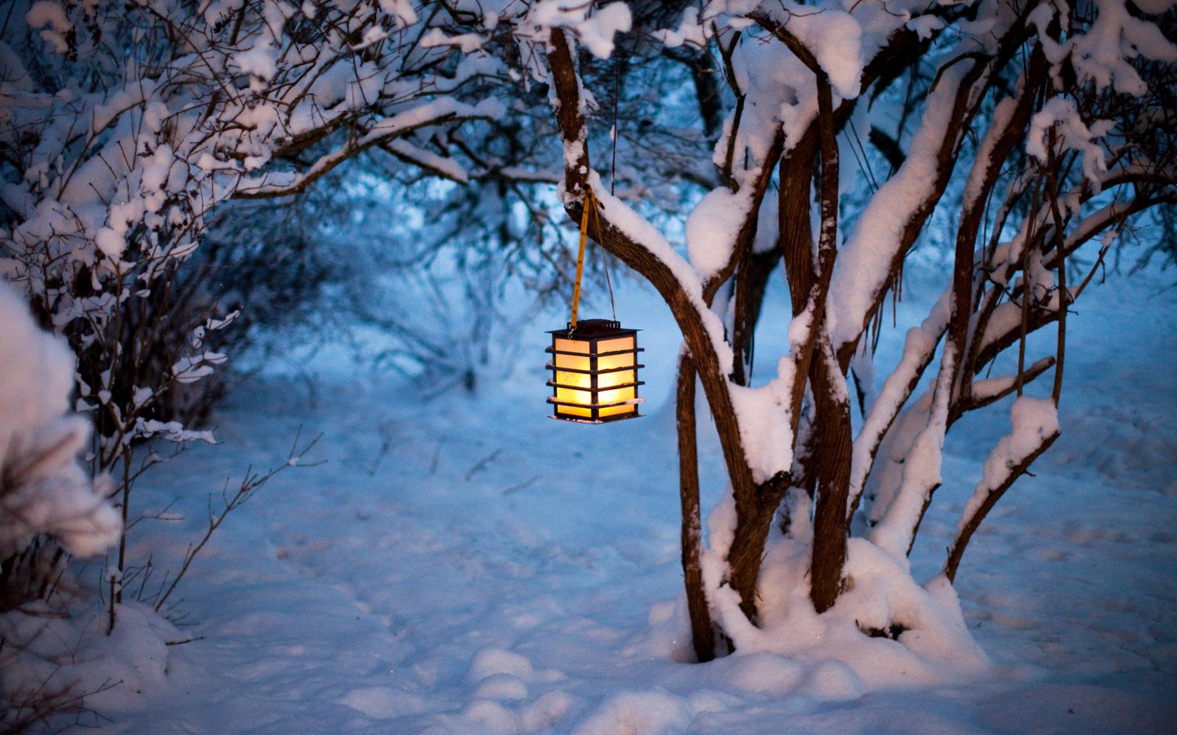 En ljuslykta hänger i ett snöigt träd.