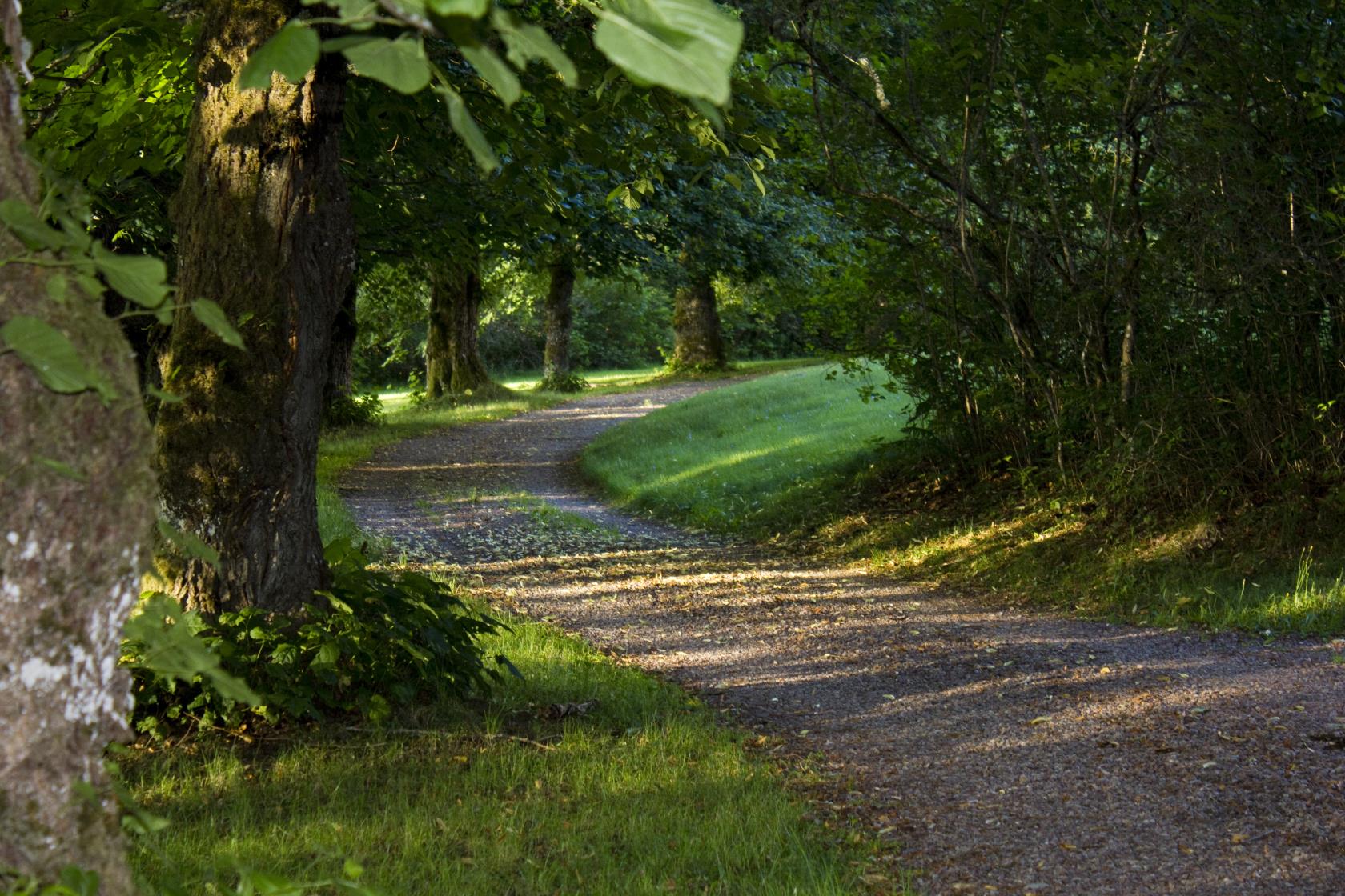 En gångväg i en park.