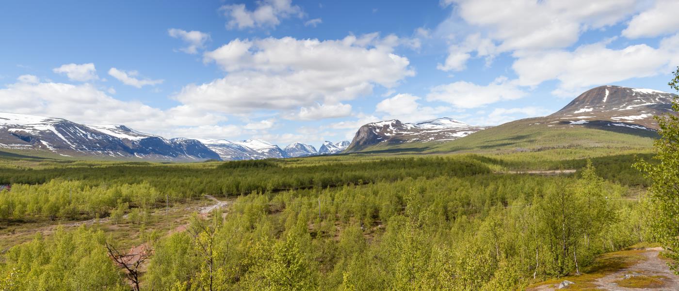 Fjällandskap i grönska. Bergstoppar i bakgrunden.