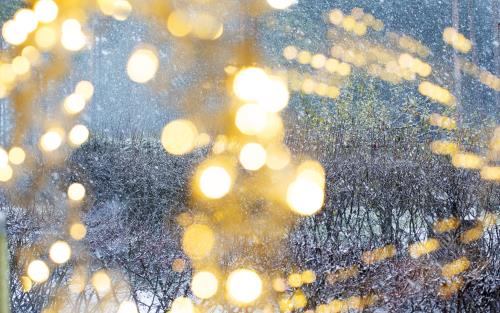 En ljusslinga hänger i ett fönster. Snön yr utanför bland lövlösa buskar.