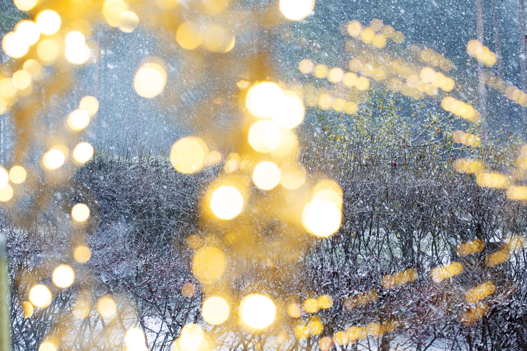 En ljusslinga hänger i ett fönster. Snön yr utanför bland lövlösa buskar.