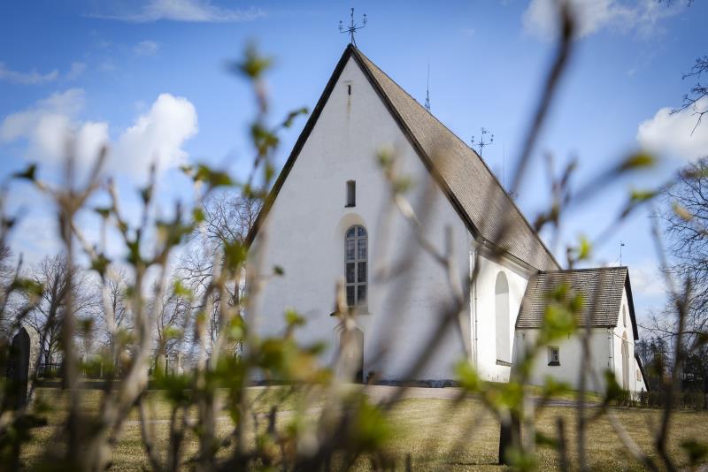 En vit gammal kyrka. Spirande kvistar i förgrunden.