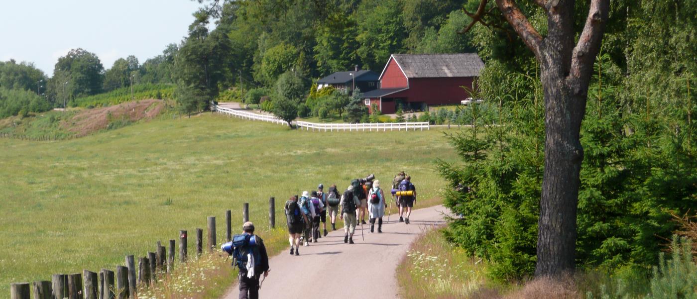 En grupp människor med ryggsäckar går på led på en liten väg.