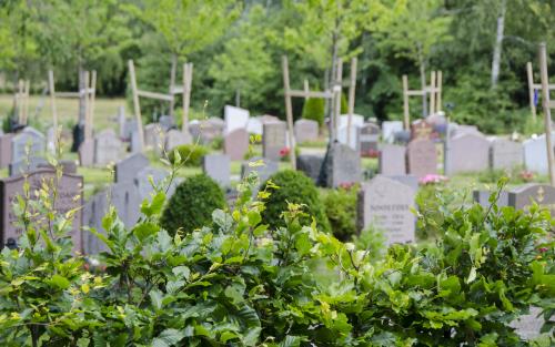 Gravstenar och grönska på en kyrkogård.