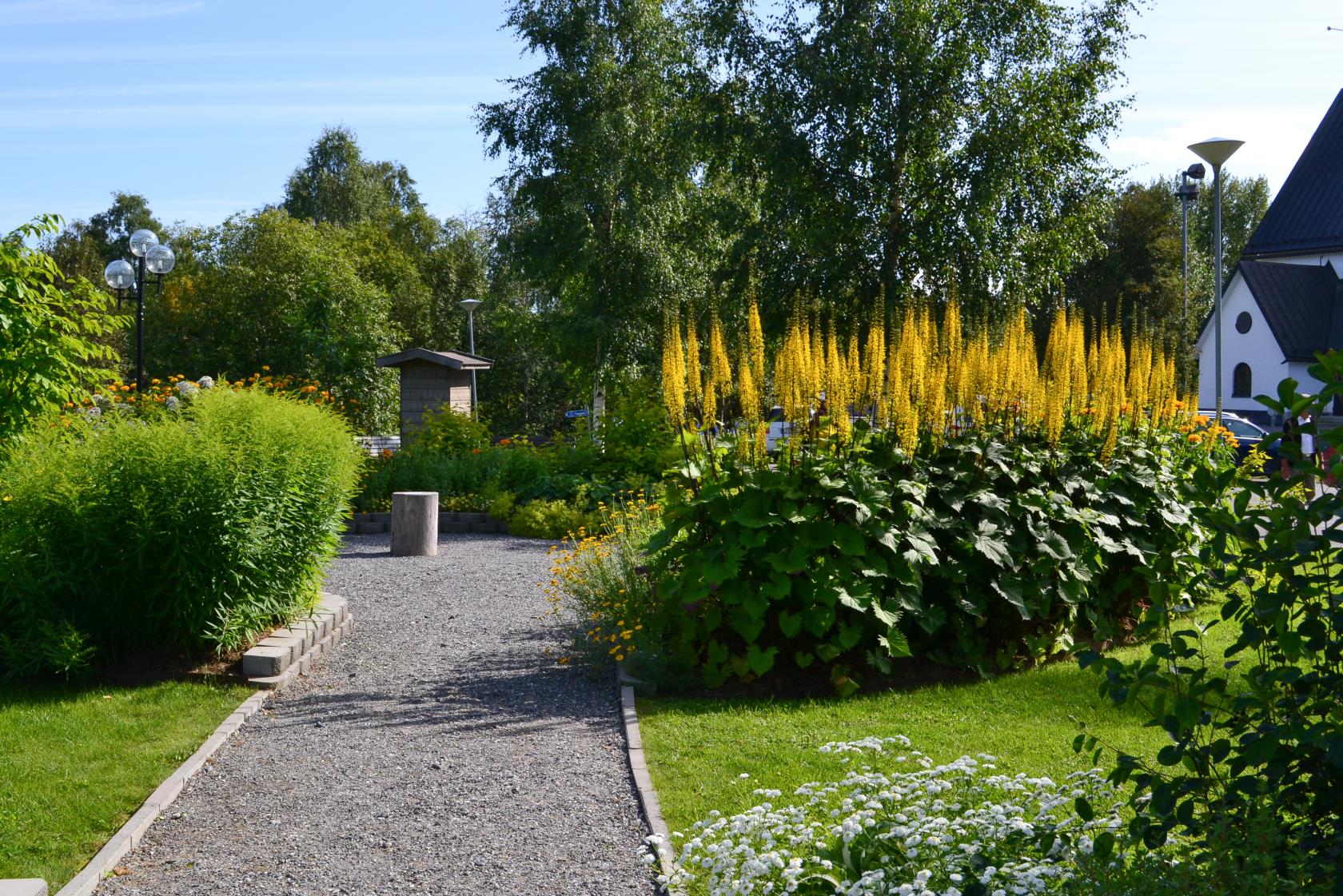 En grusgång i en trädgård. Buskar och blommor växer i rabatten längs gången.