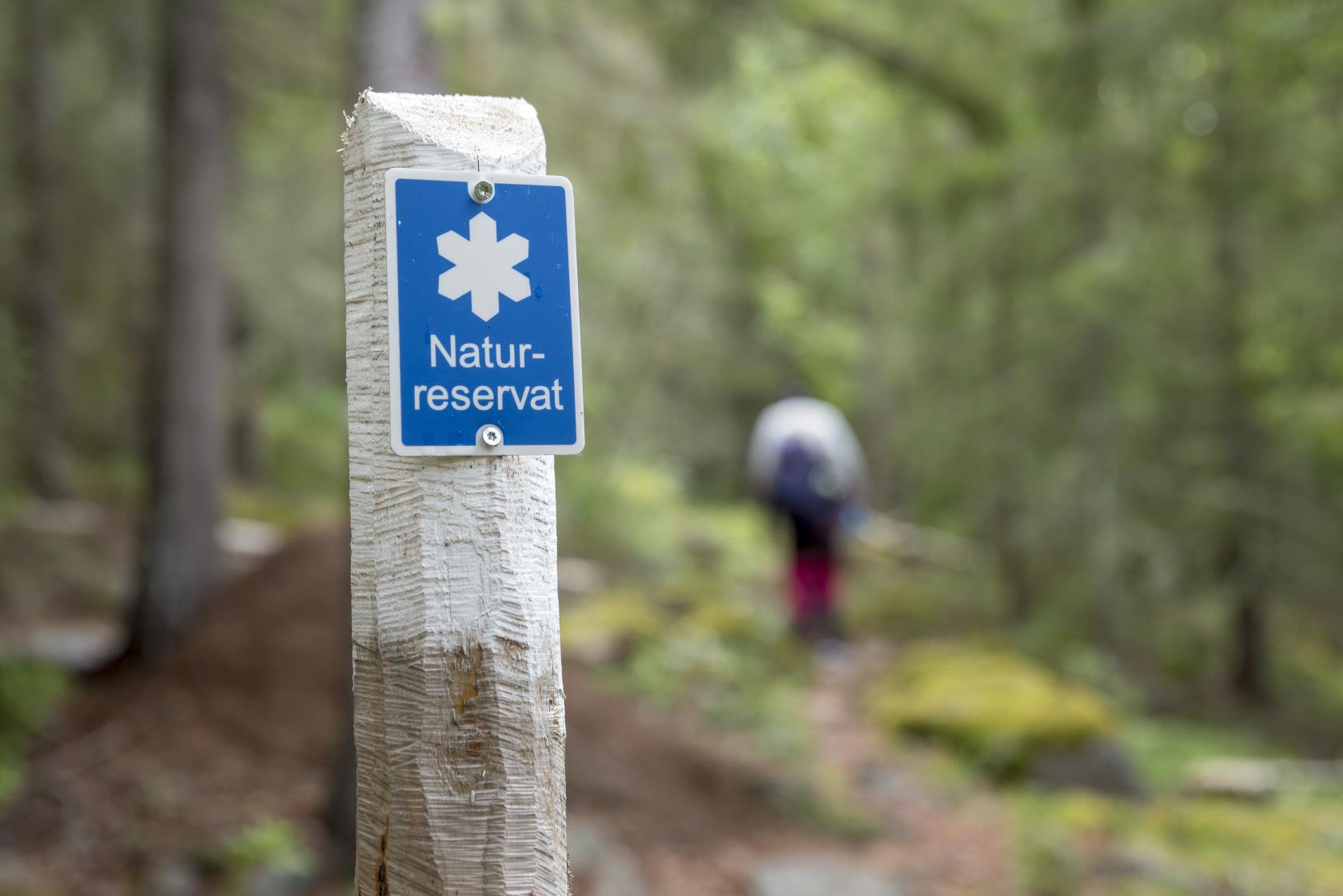 En blå skylt med texten Naturreservat sitter på en trästolpe i skogen.