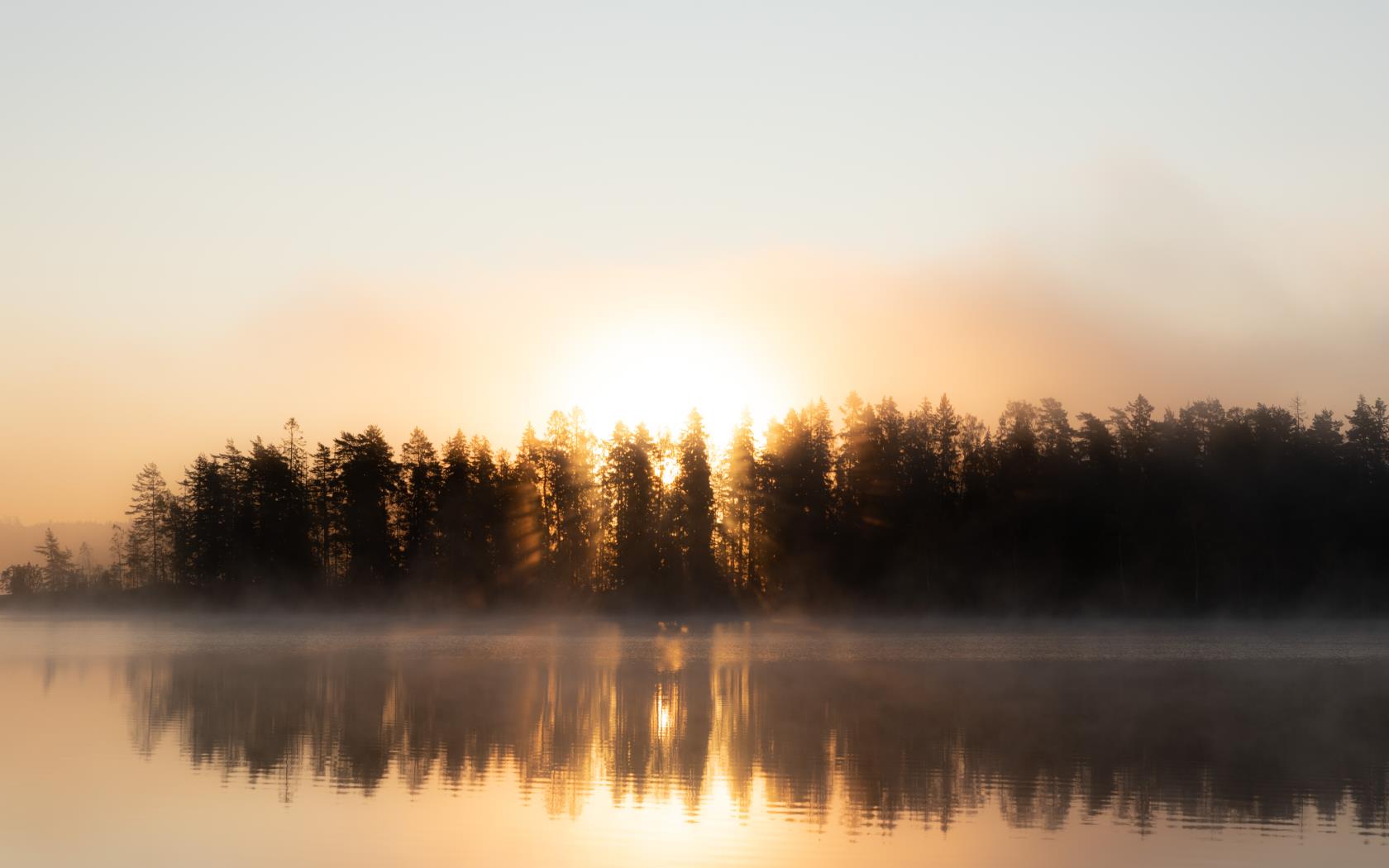 Gryning med soluppgång bakom skogen. Dimslöjor dansar på sjön.