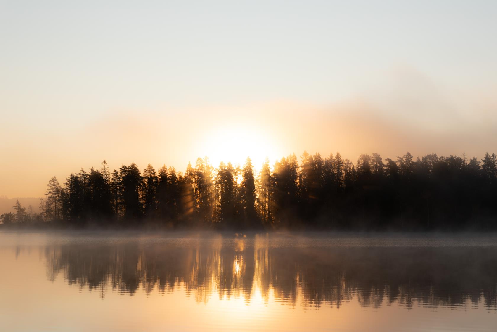 Gryning med soluppgång bakom skogen. Dimslöjor dansar på sjön.