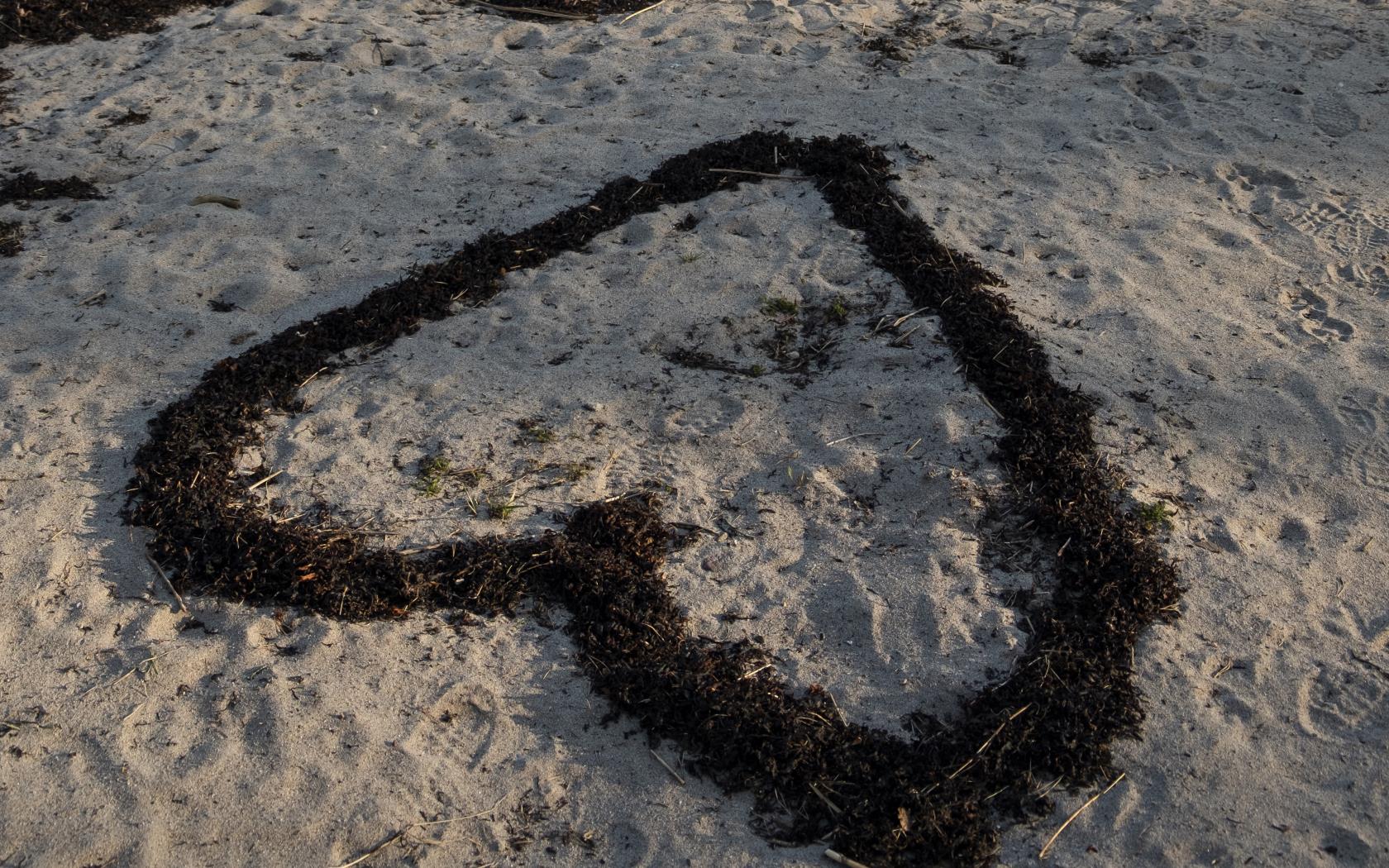 Någon har byggt ett hjärta av uppspolad tång på stranden.