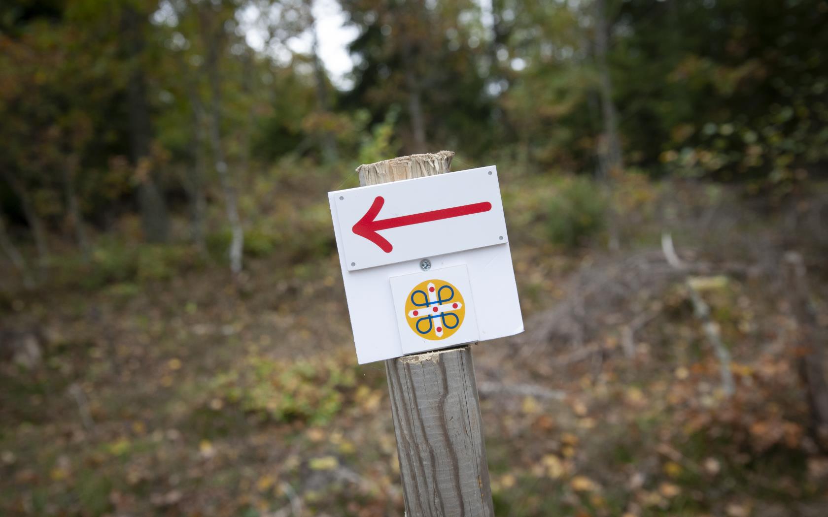 En skylt i skogen pekar ut riktningen för Pilgrimsleden.