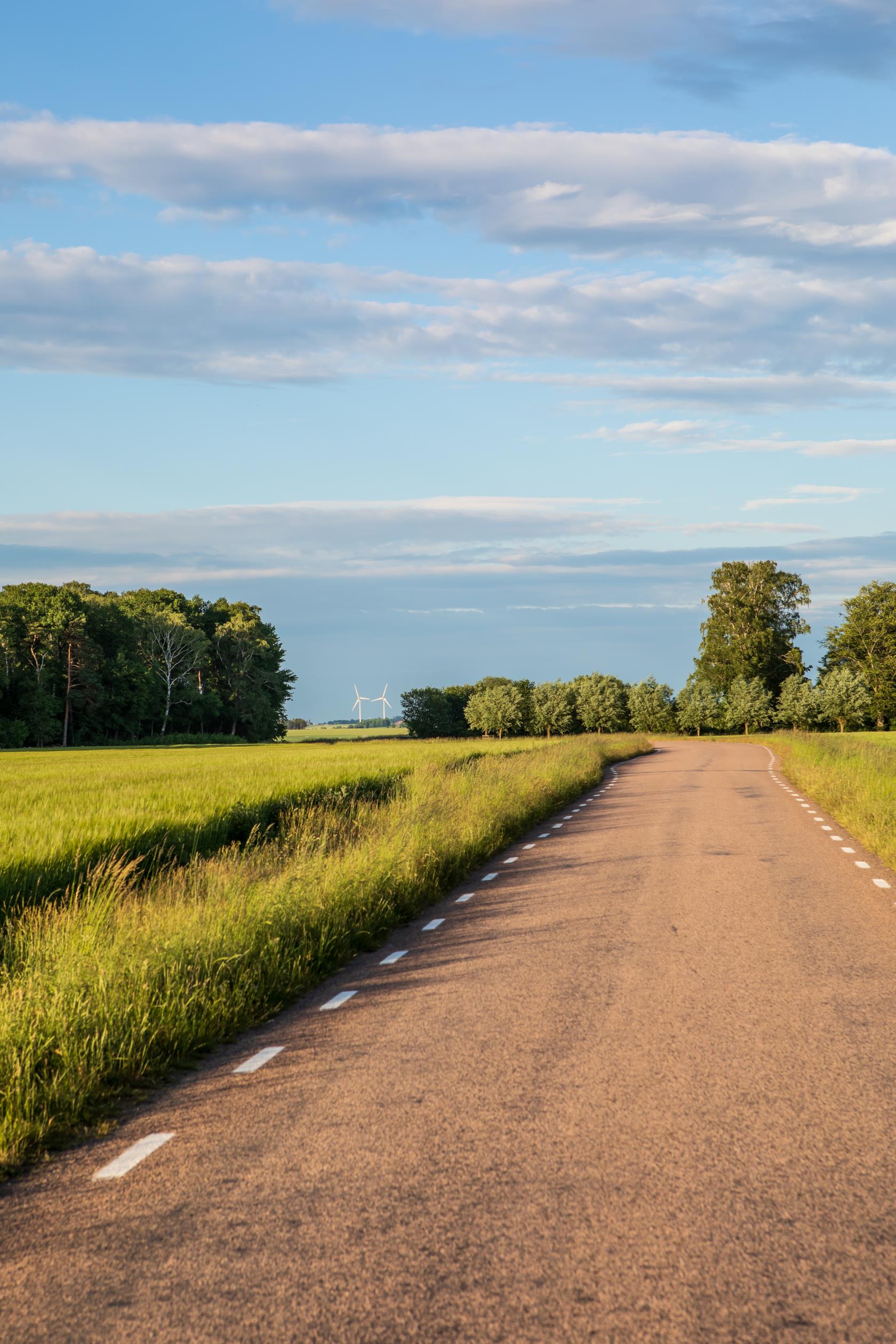 En liten asfalterad väg går genom sommarlandskapet.