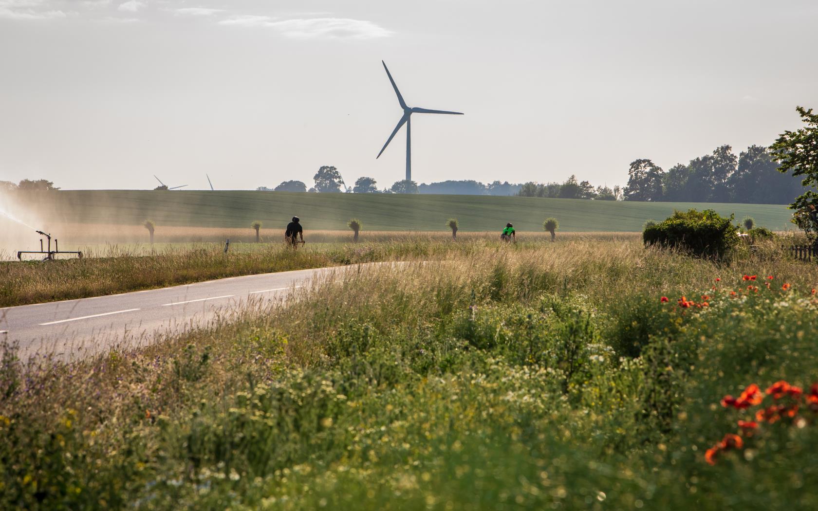 Ett åkerlandskap med en cyklist. Längre bort syns ett vindkraftverk.