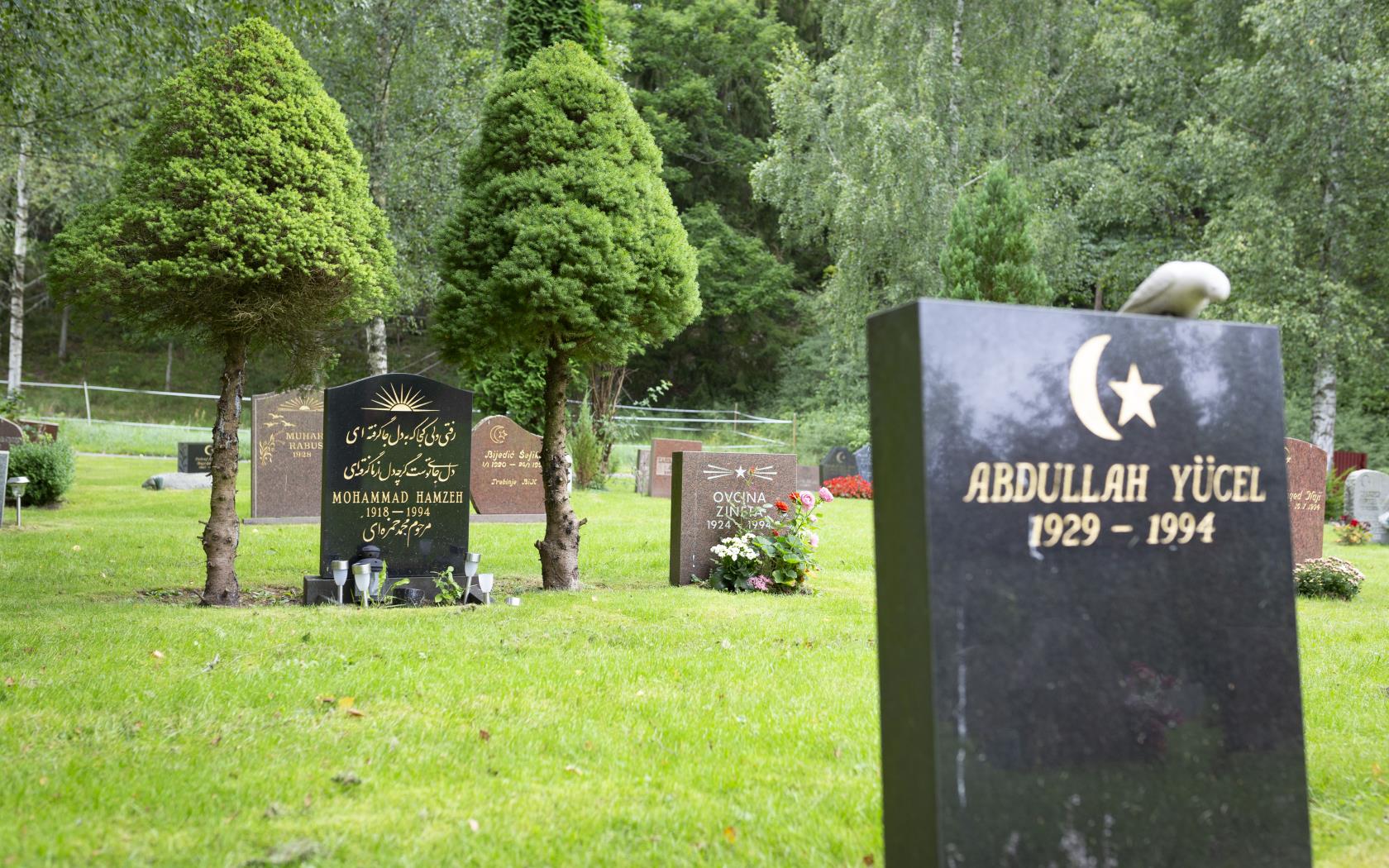 En muslimsk skogskyrkogård.