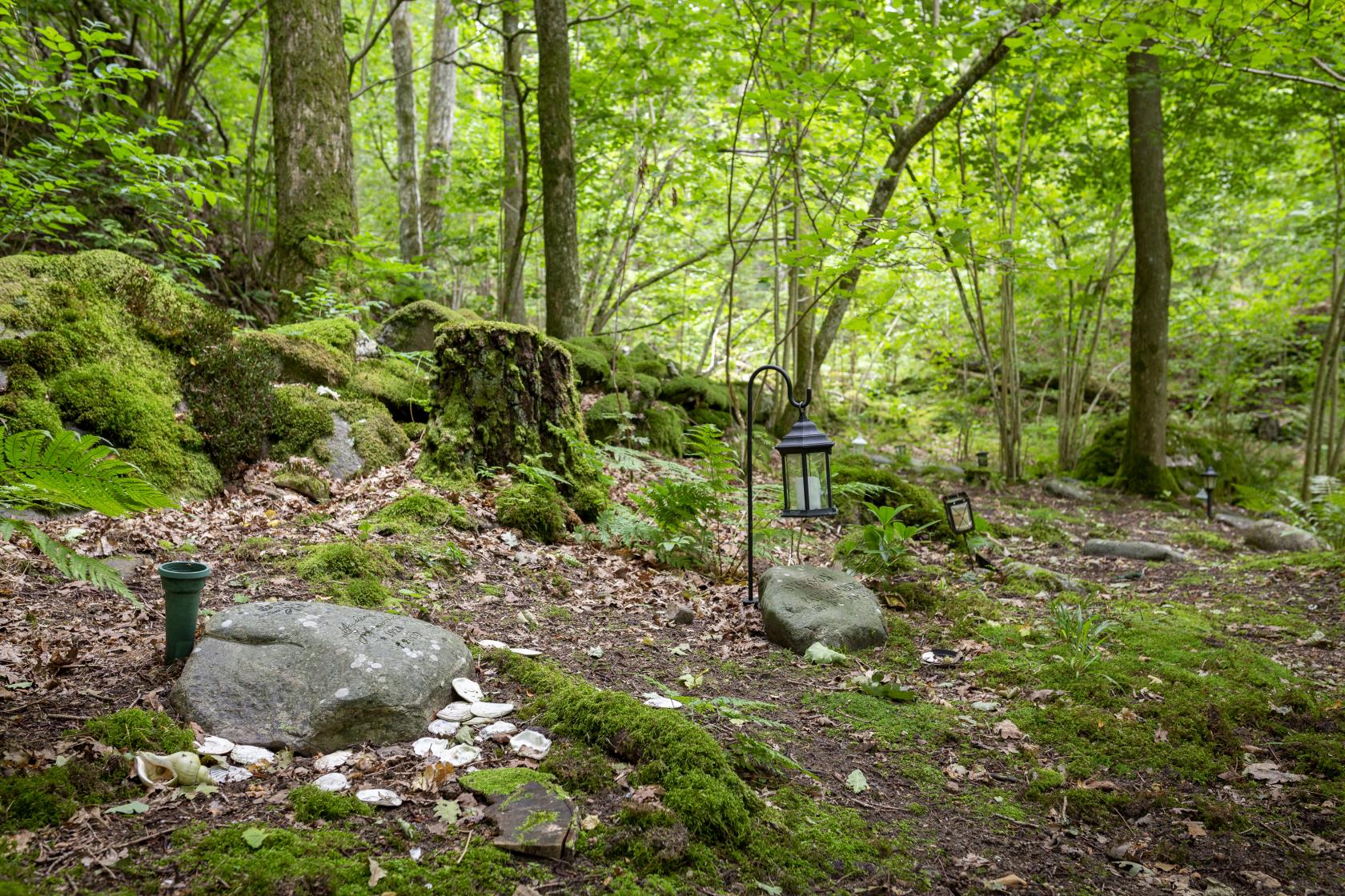 En kyrkogård med gravar i en skogsdunge.