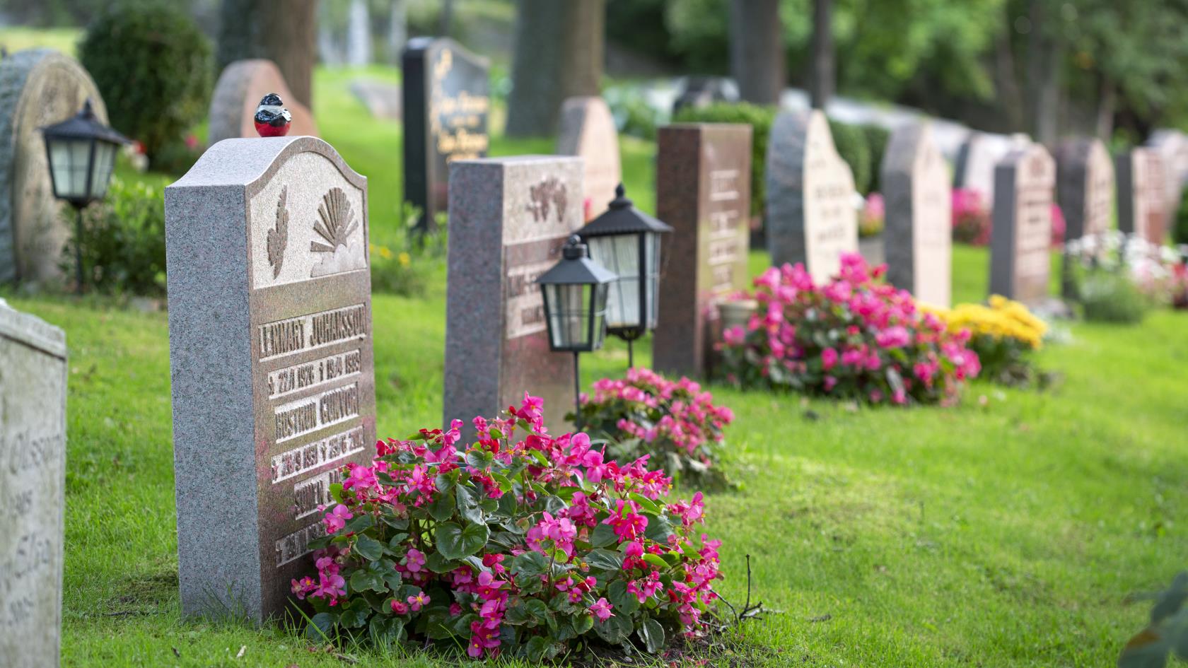 Gravar dekorerade med färggranna blommor på en kyrkogård.