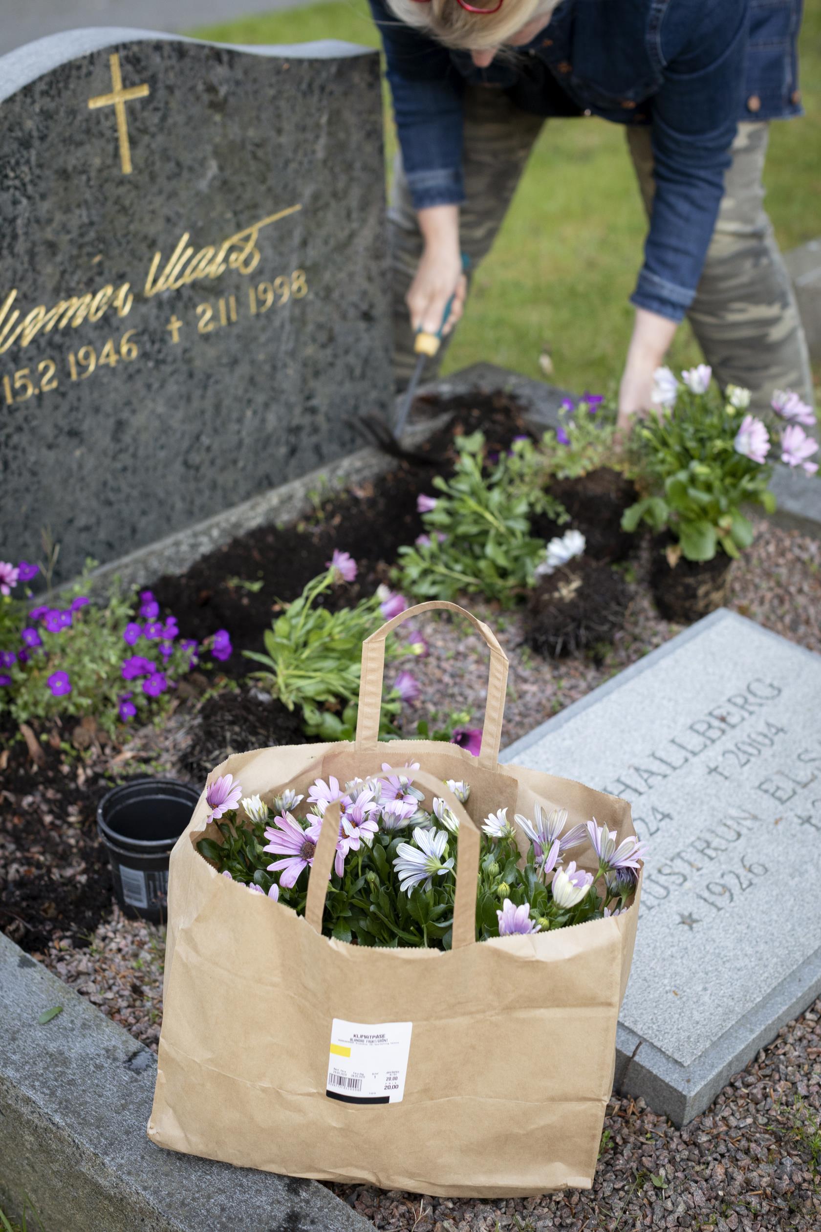 En person planterar blommor vid en grav.