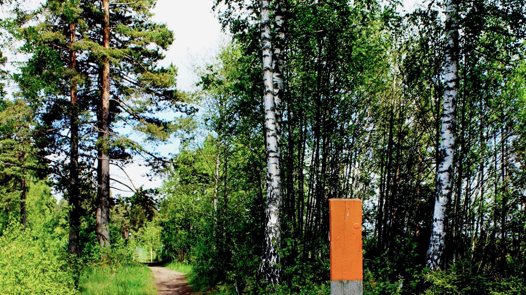 Bredvid stigen i skogen sitter en pinne med markeringen för pilgrimsled.