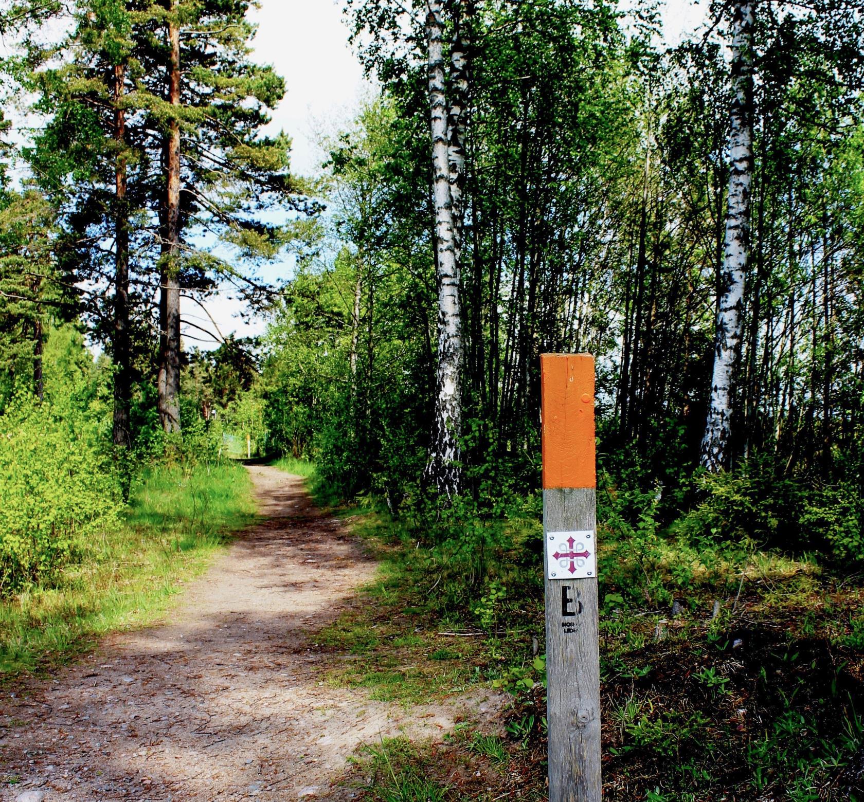 Bredvid stigen i skogen sitter en pinne med markeringen för pilgrimsled.