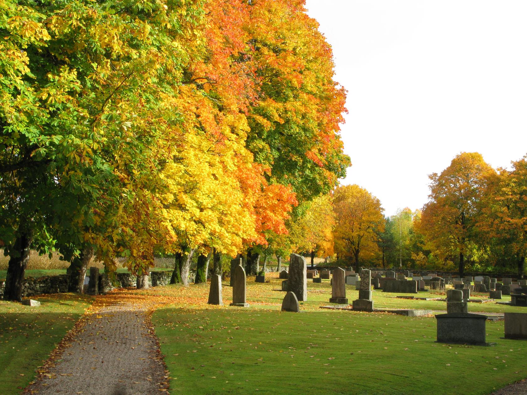 En solbelyst kyrkogård i höstfärger.