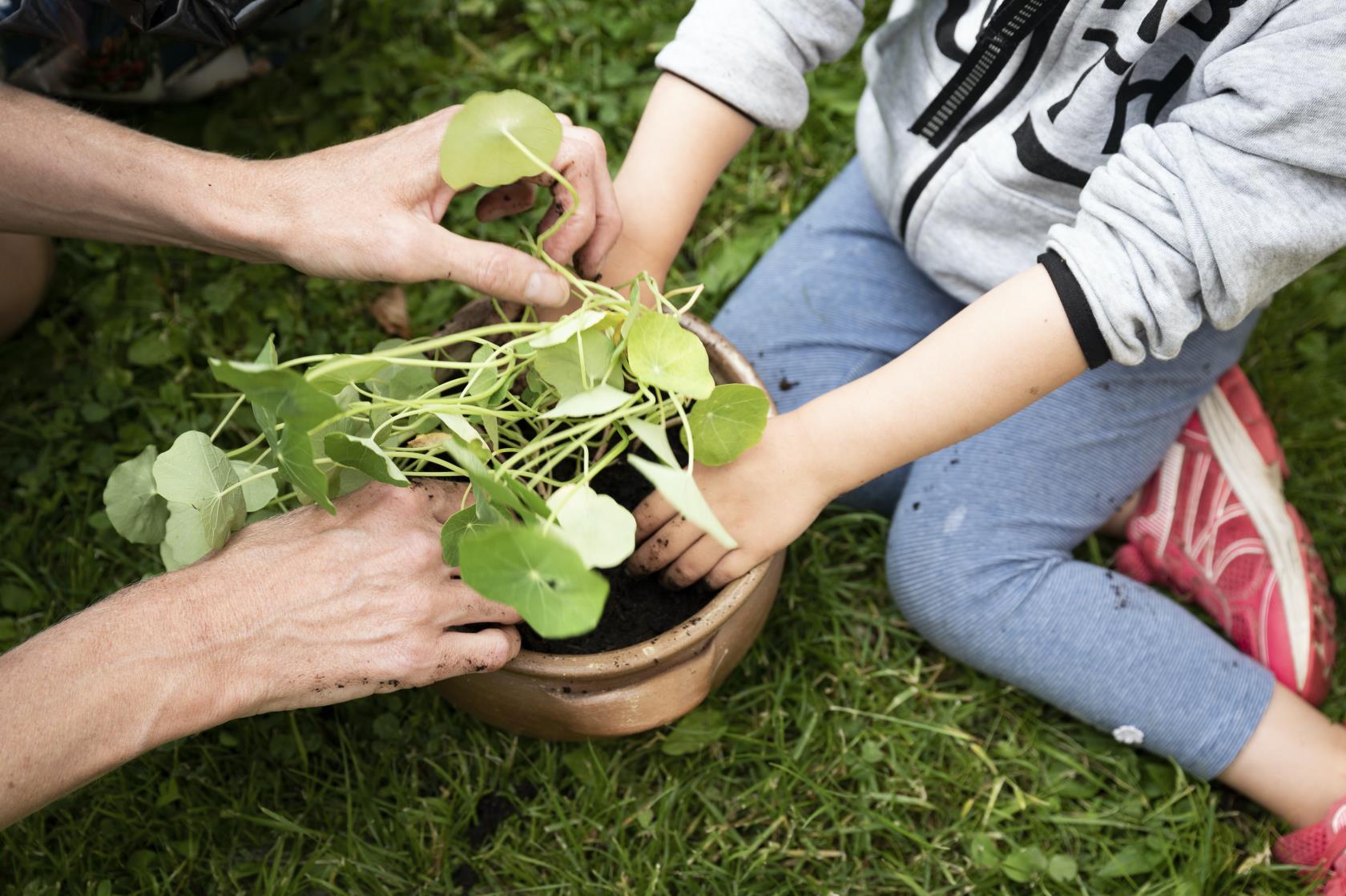 En vuxen och ett barn sitter i gräset och hjälps åt att plantera krasse i en kruka.