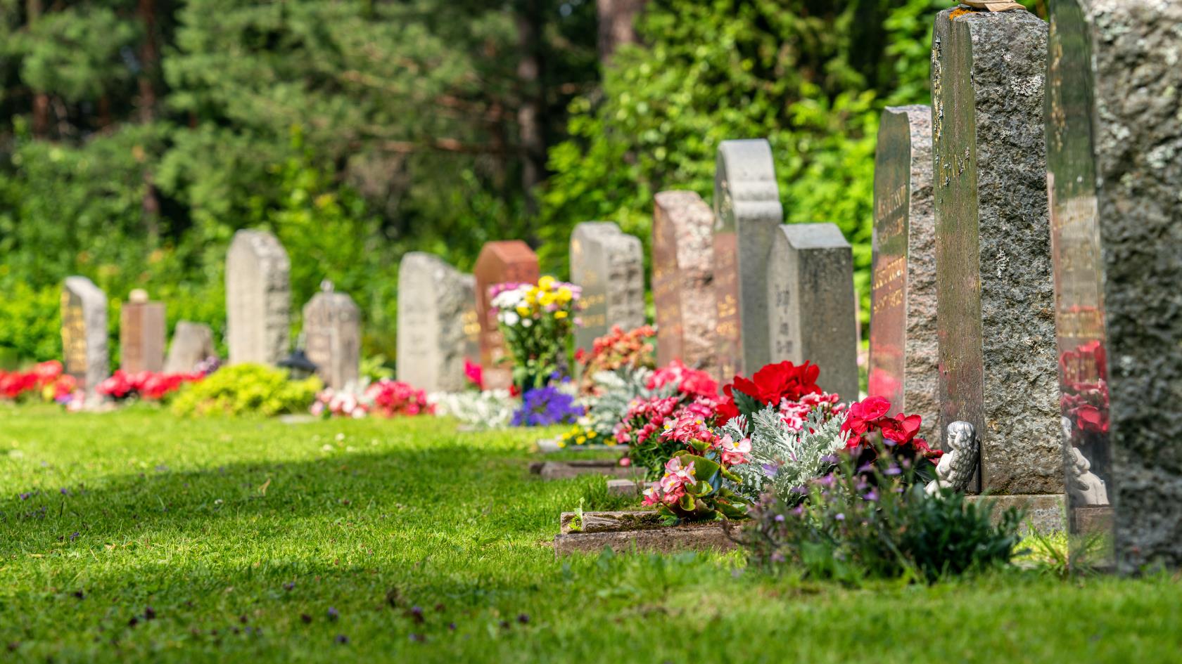 Begravningsplats med en rad av gravstenar som alla har färgsprakande blommor. Solen skiner.