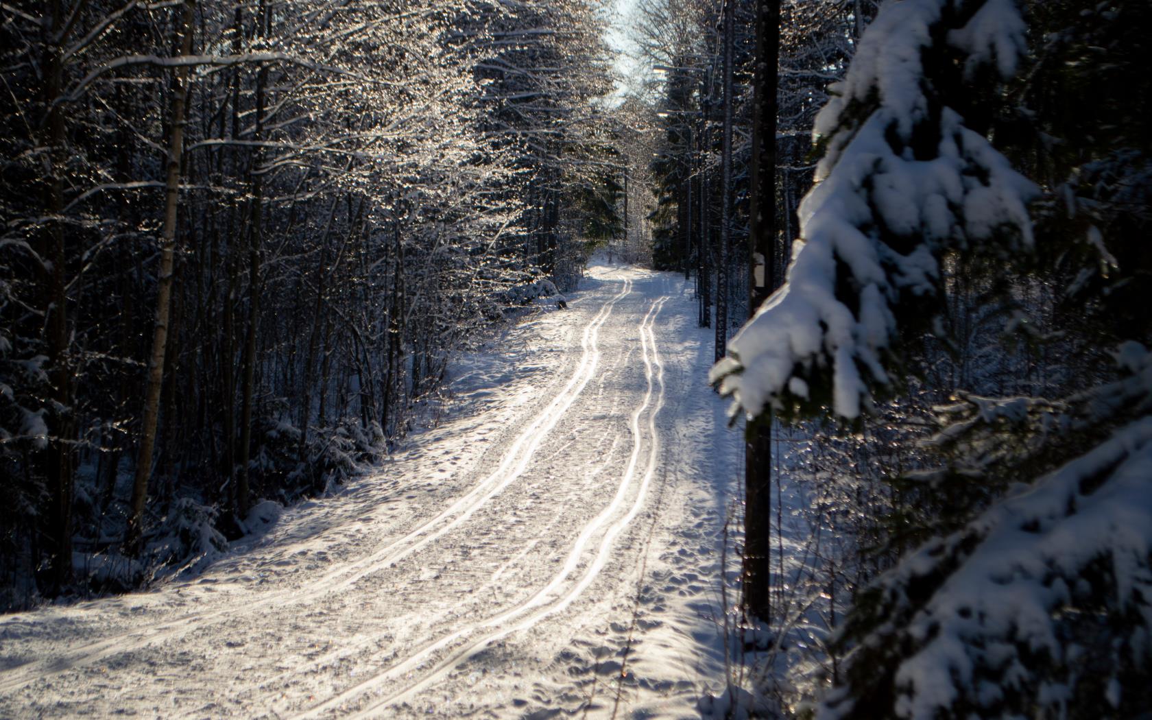 Ett elljusspår för längdskidåkning i vinterskog.