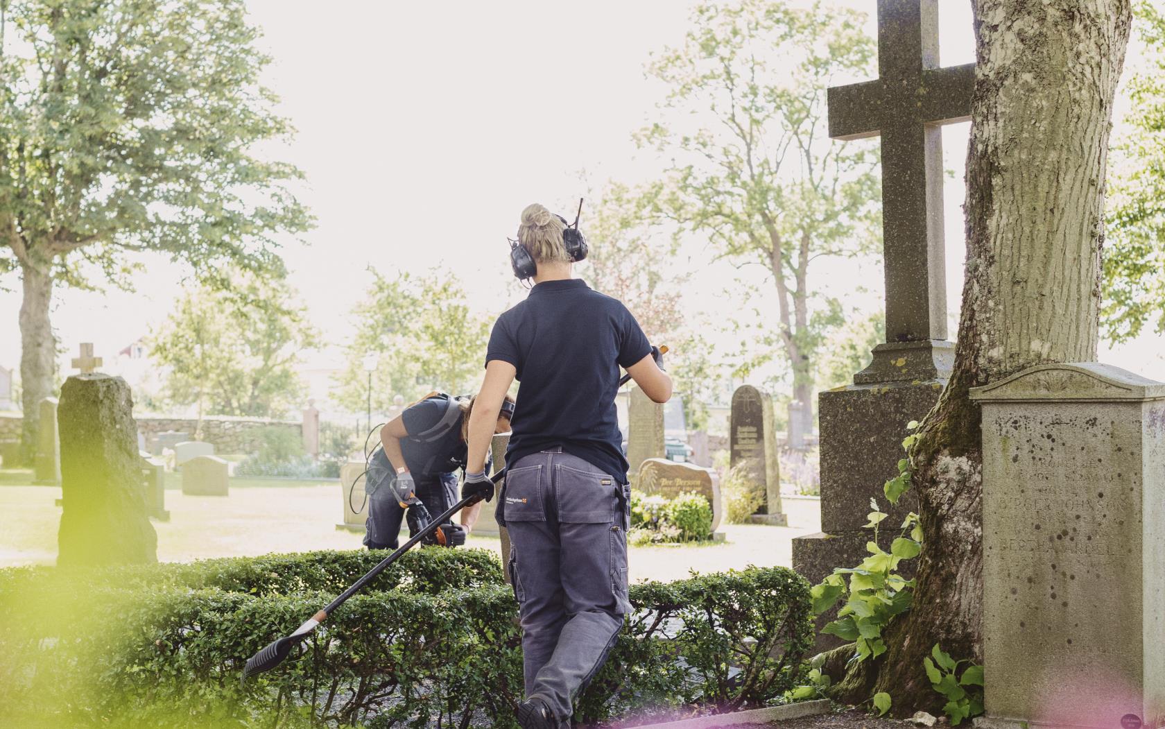 Två kyrkogårdsarbetare trimmar buskarna runt en grav.