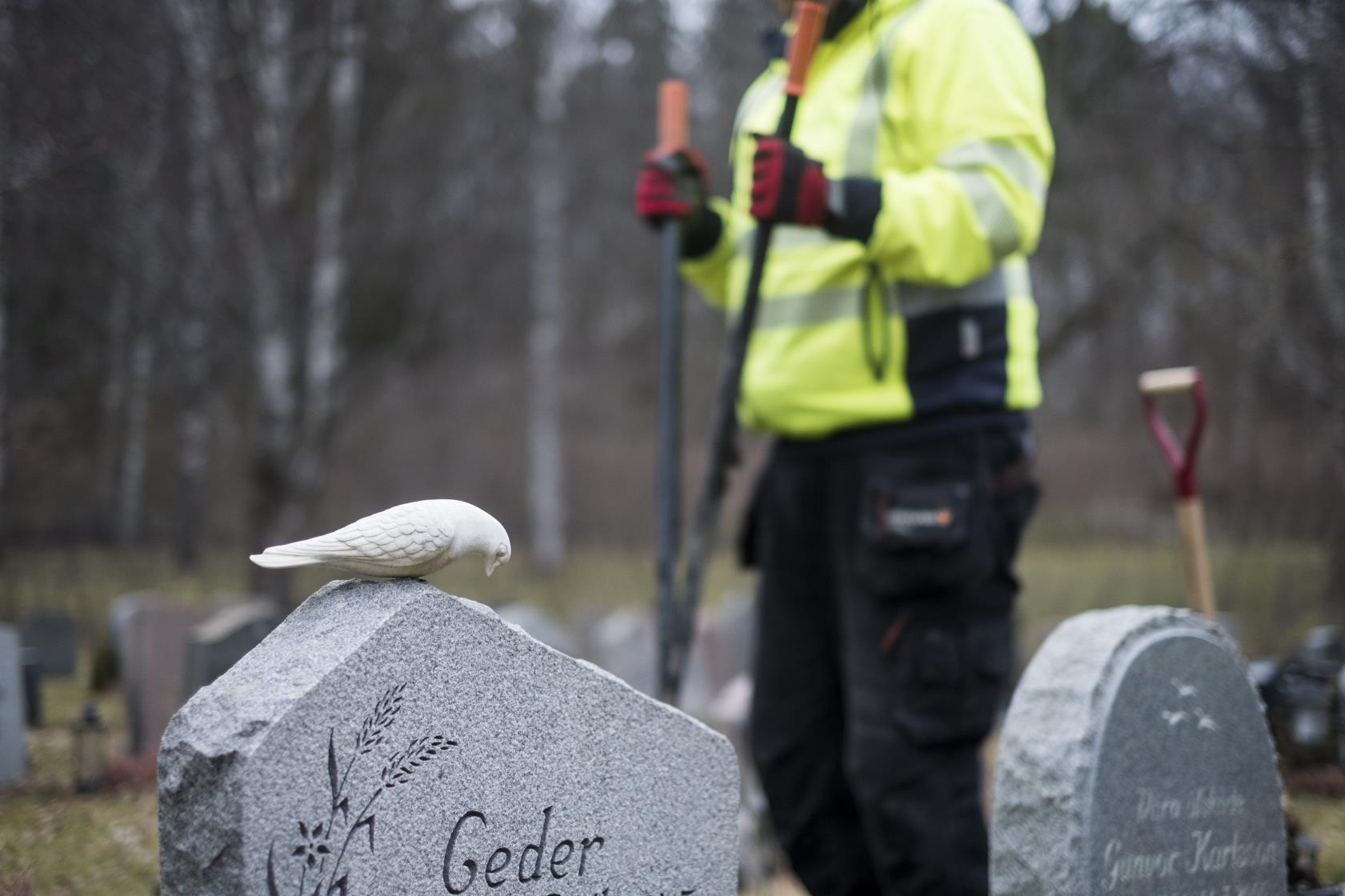 En keramik-fågel på en gravsten. I bakgrunden står en kyrkogårdsarbetare.