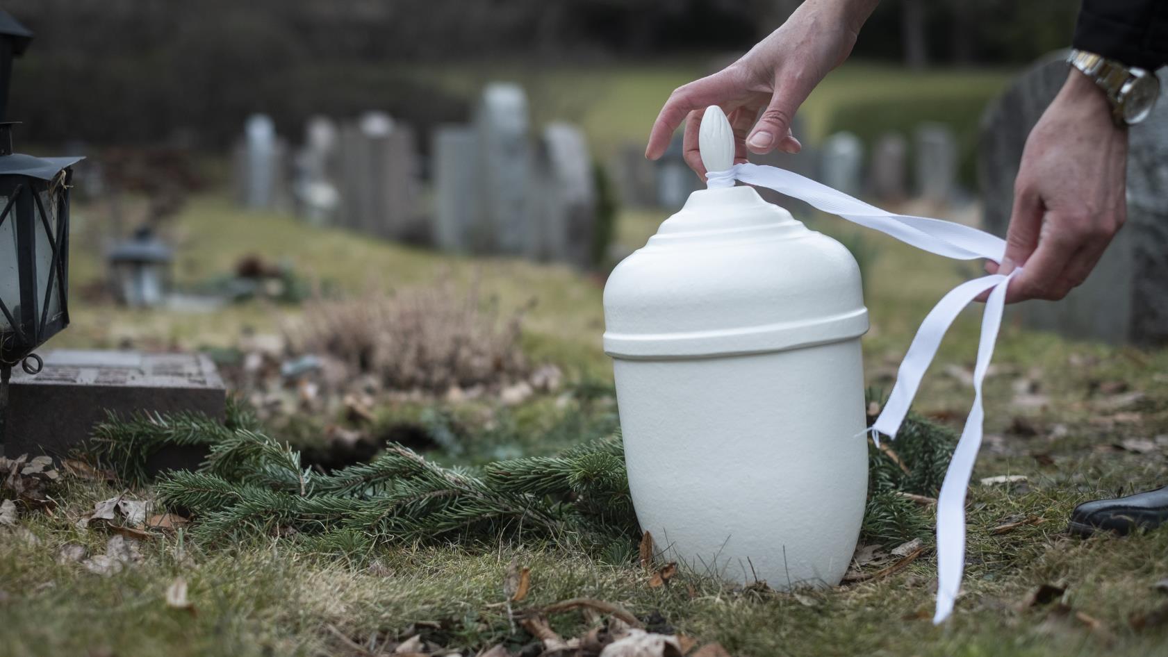 Någon knyter ett vitt band runt en vit urna på en kyrkogård.