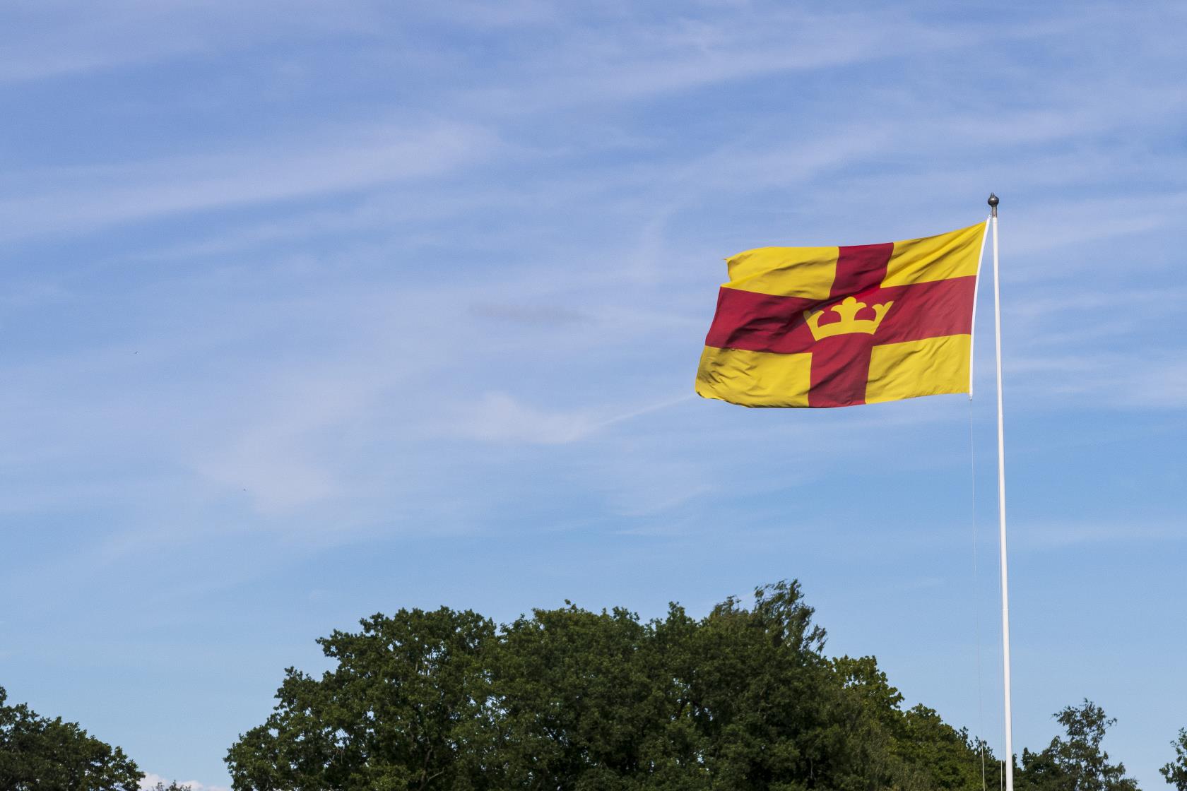 En flaggstång med Svenska kyrkans flagga mot blå himmel och några trädkronor.