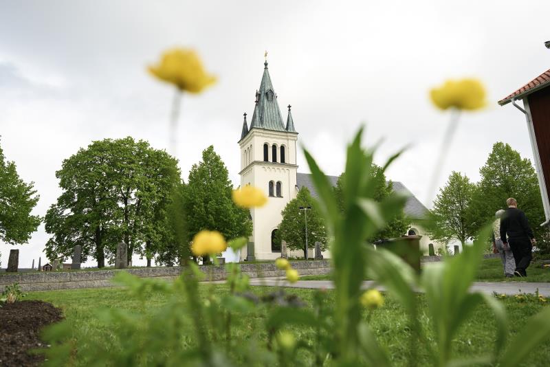 En vit kyrka. I förgrunden syns några gula blommor oskarpt.