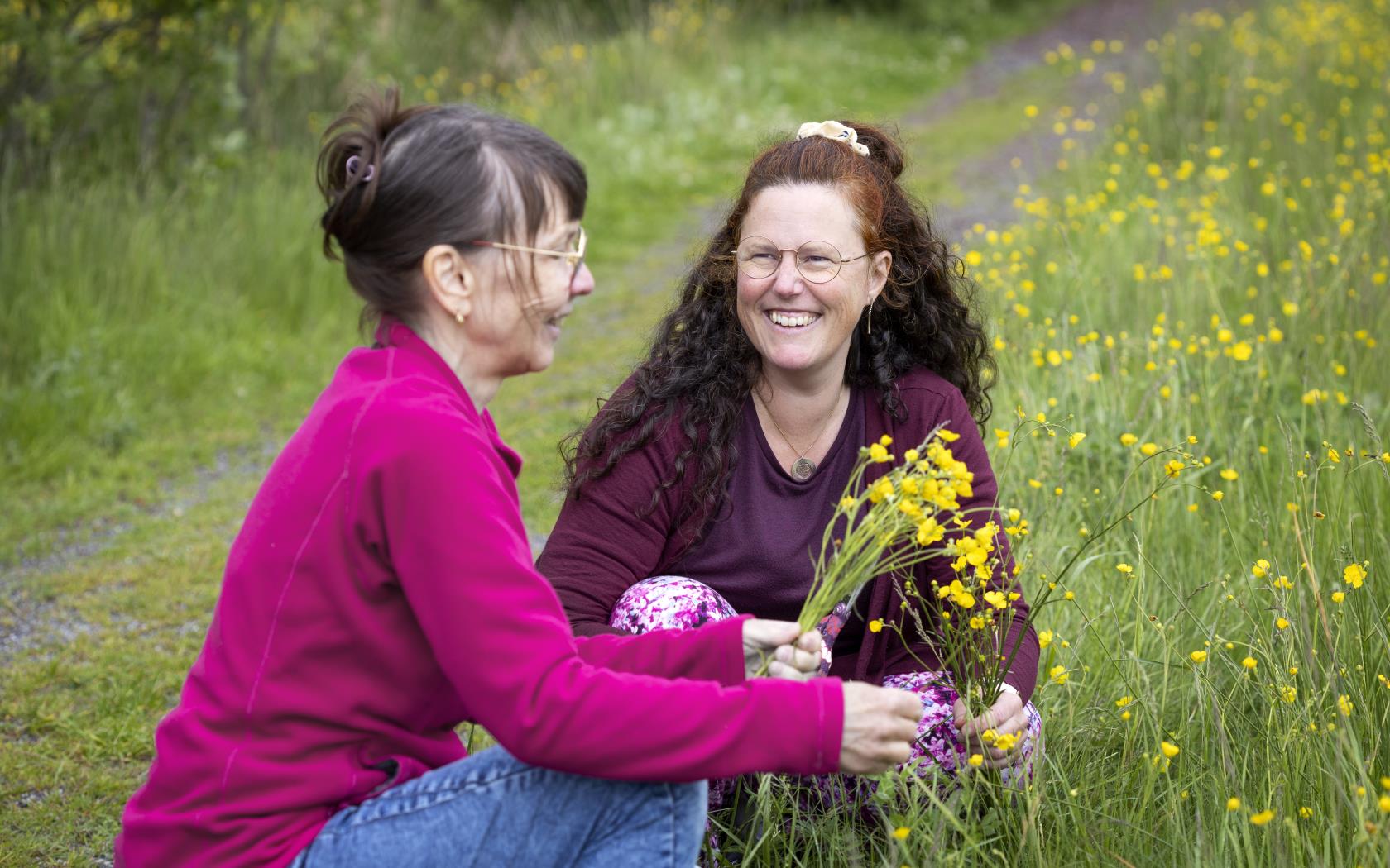 Två kvinnor sitter på huk vid en äng och plockar smörblommor.