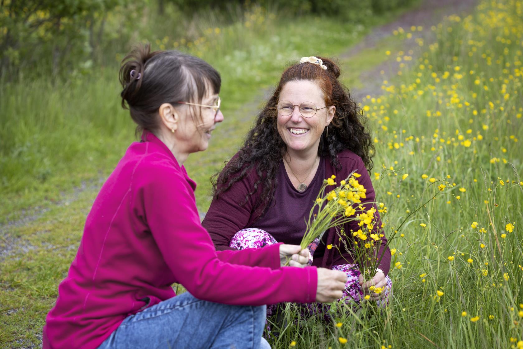 Två kvinnor sitter på huk vid en äng och plockar smörblommor.