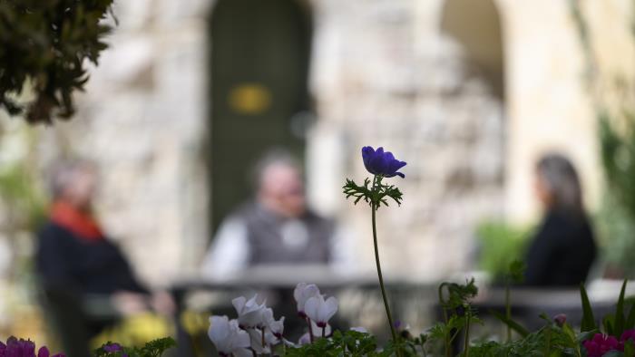 En blomstrande rabatt. I bakgrunden sitter tre personer vid ett bord och samtalar.