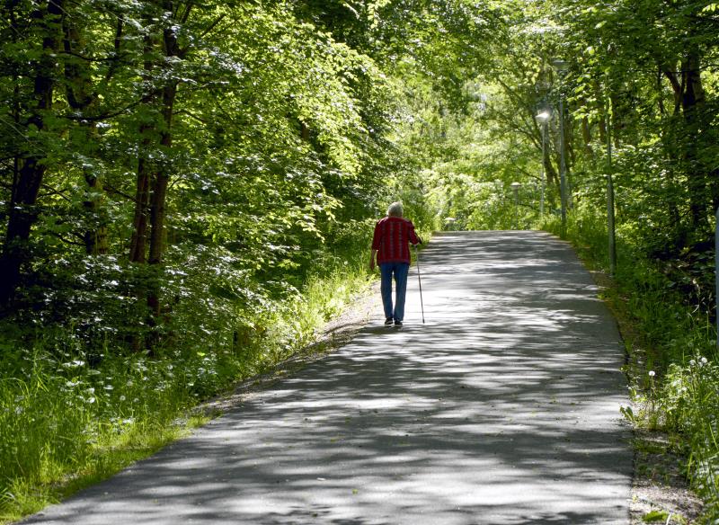 En äldre person med vandringsstav går på en grusväg i skogen.