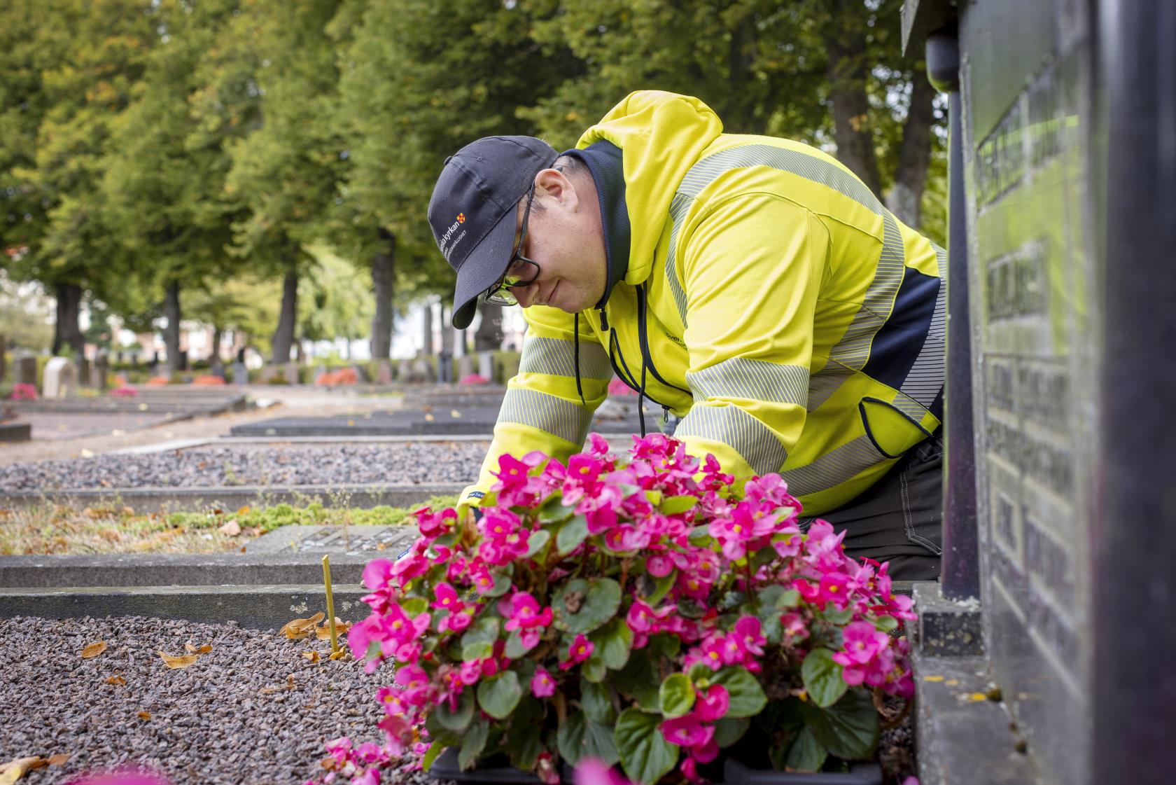 En kyrkogårdsarbetare i gula varselkläder fixar blommorna på en gravplats.