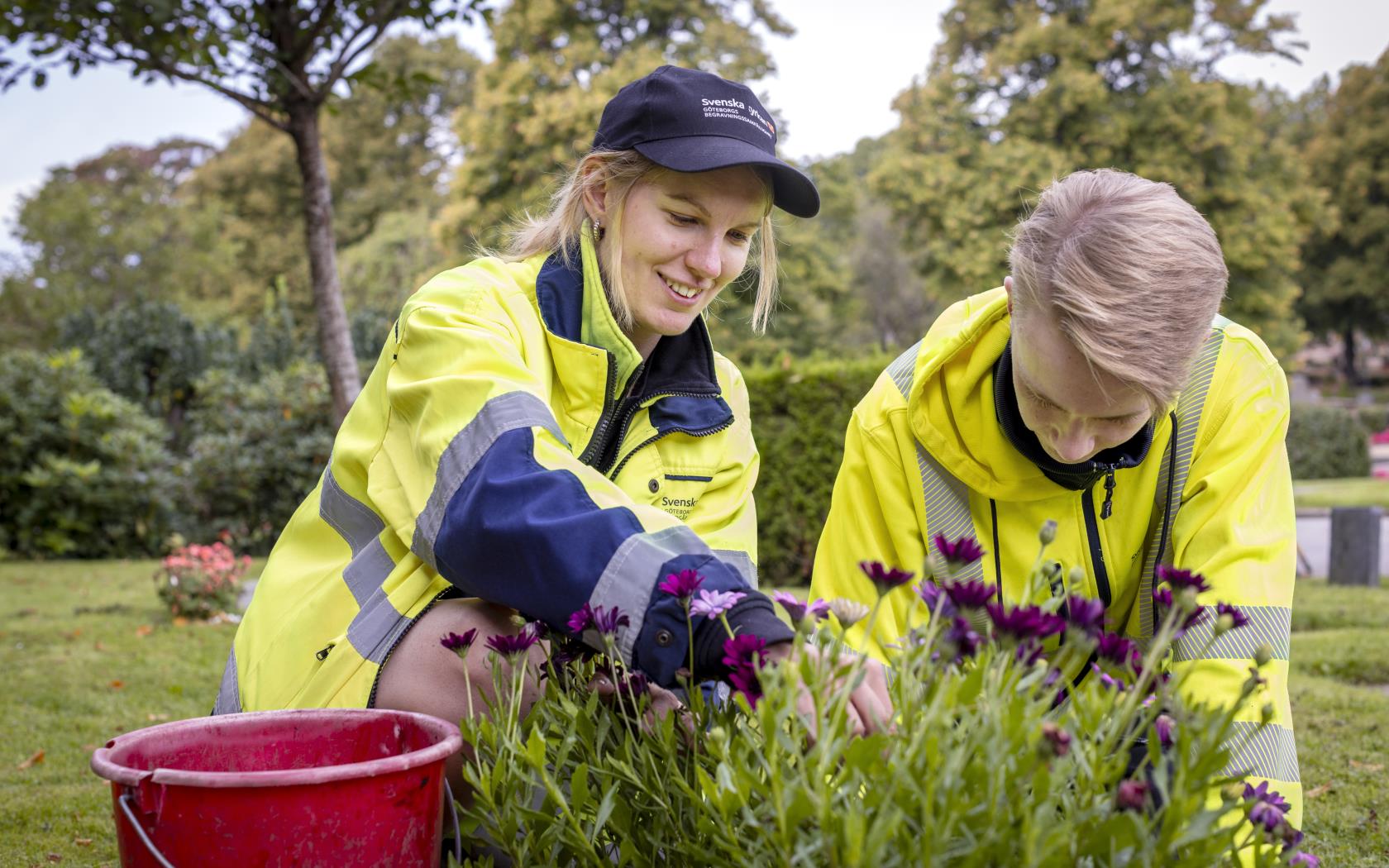 Två kyrkogårdsarbetare i gula varselkläder fixar med några blommor.