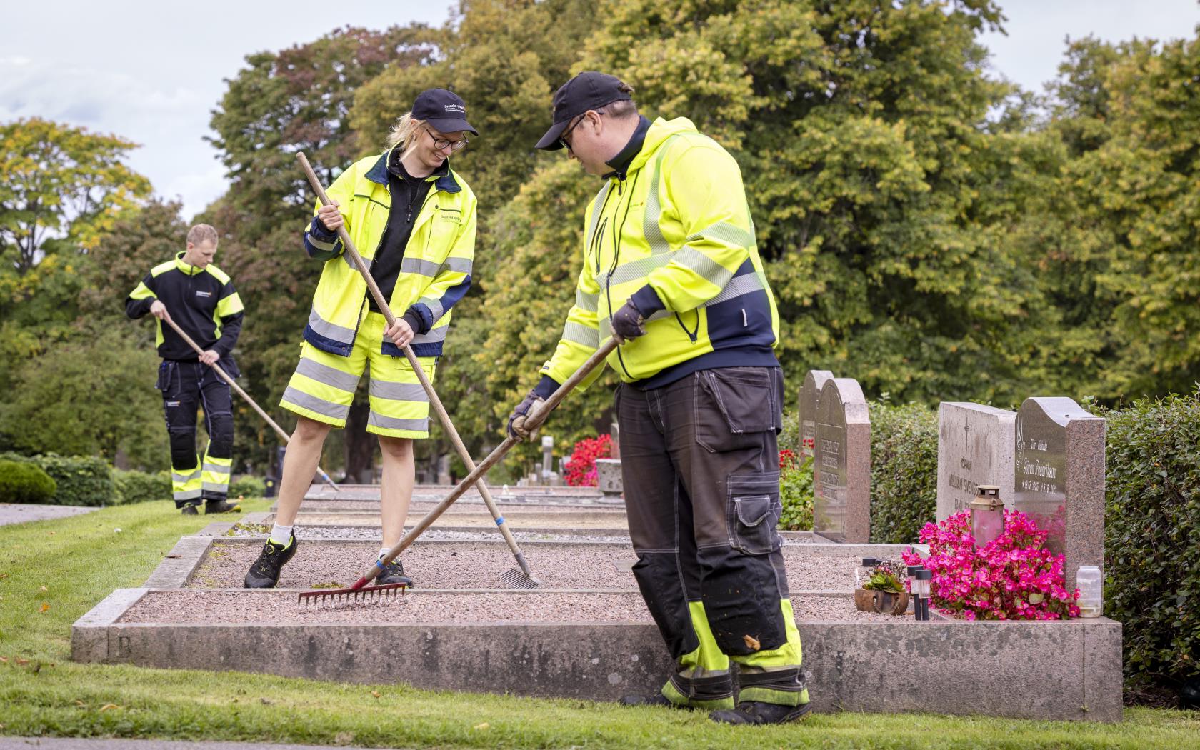 Några kyrkogårdsarbetare i gula varselkläder krattar gruset på gravarna.