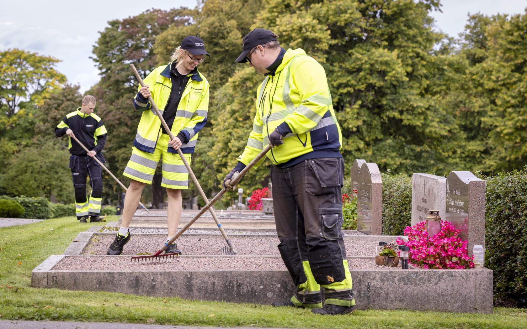 Några kyrkogårdsarbetare i gula varselkläder krattar gruset på gravarna.