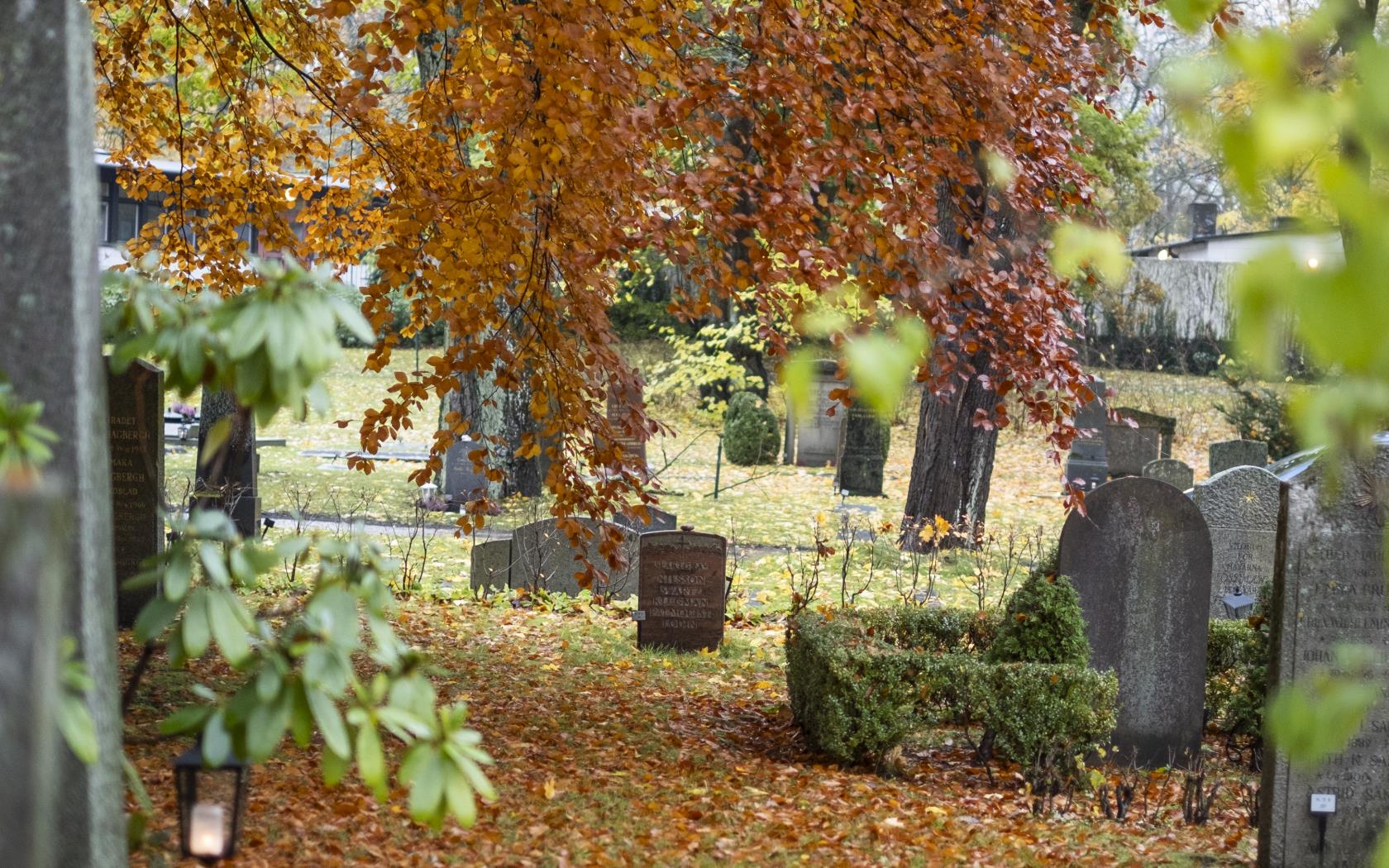 Höstklädda träd och lövtäckt mark på en kyrkogård.