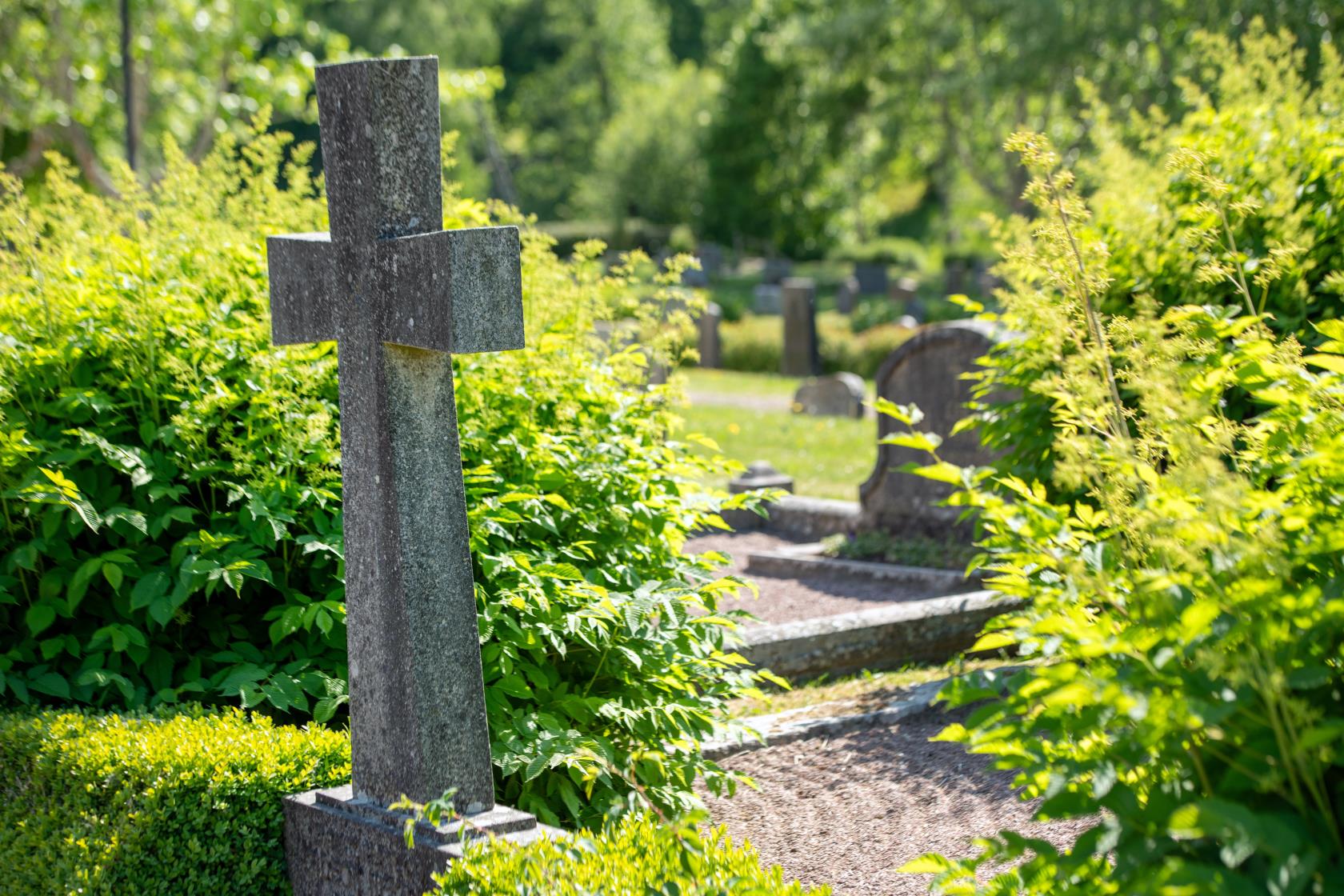 Västra Hargs kyrkogård. En gravsten i form av ett stenkors.