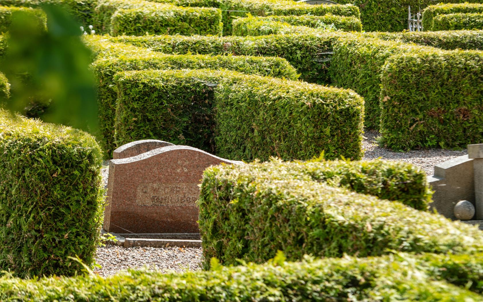 Gravkvarter på Svanshals kyrkogård med tujahäckar.