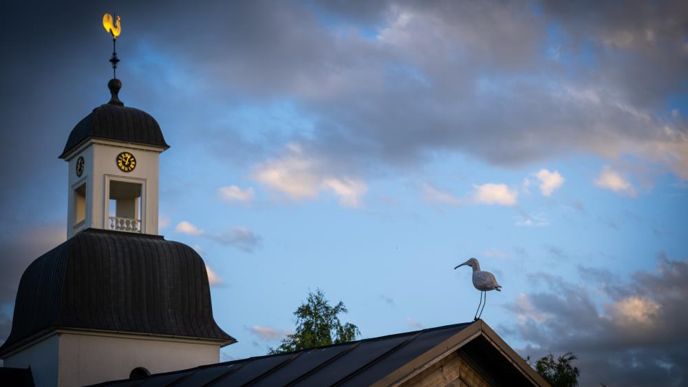 I förgrunden ser vi en träsnidad storspov på växthusets tak. I bakgrunden skymtar Kusmarks kyrkas klocktorn med den förgyllda tuppen längst upp.