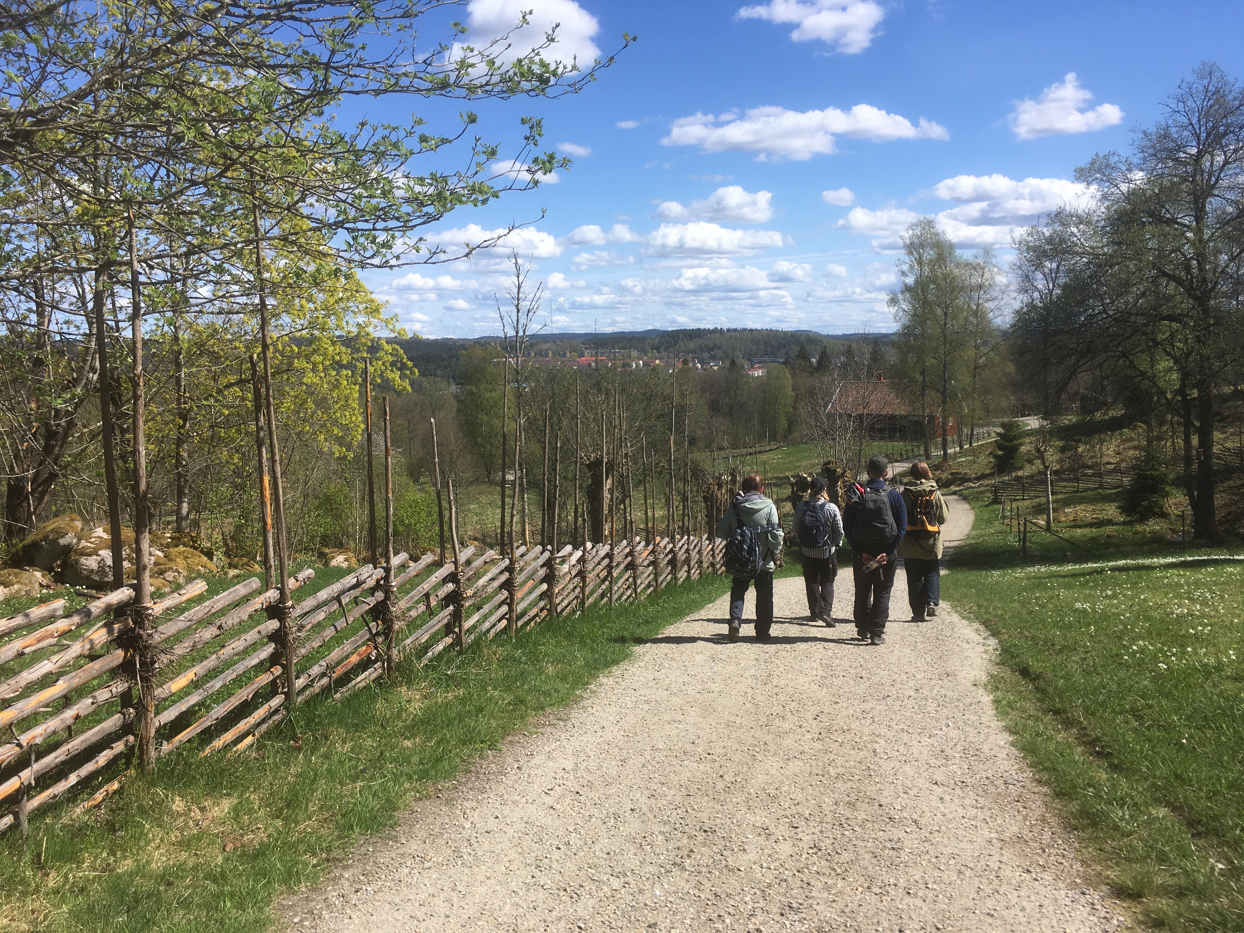 Grupp människor vandrar längs stig över gröna kullar i vackert vårväder.