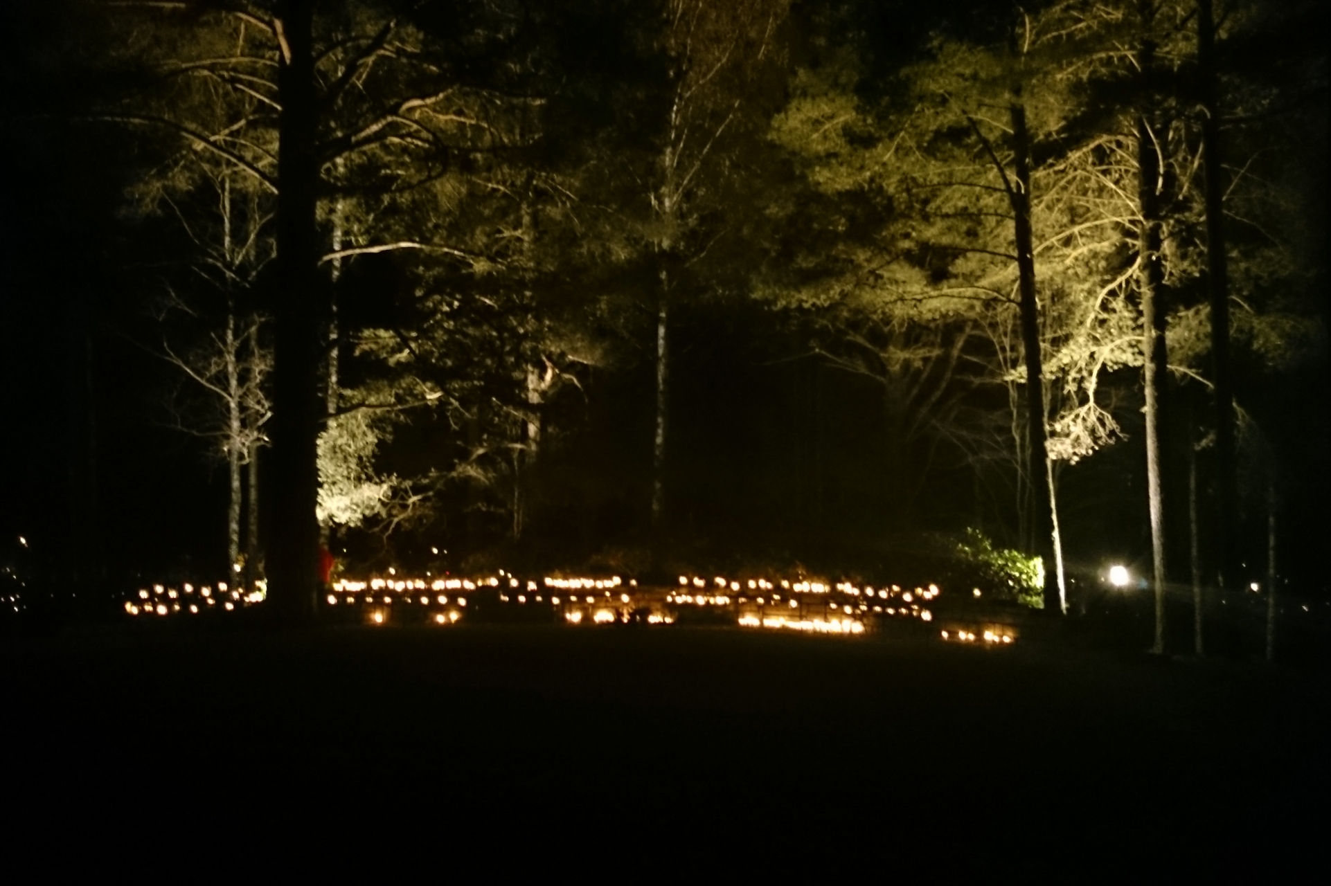 Allhelgokväll vid minneslunden på Arvika kyrkogård