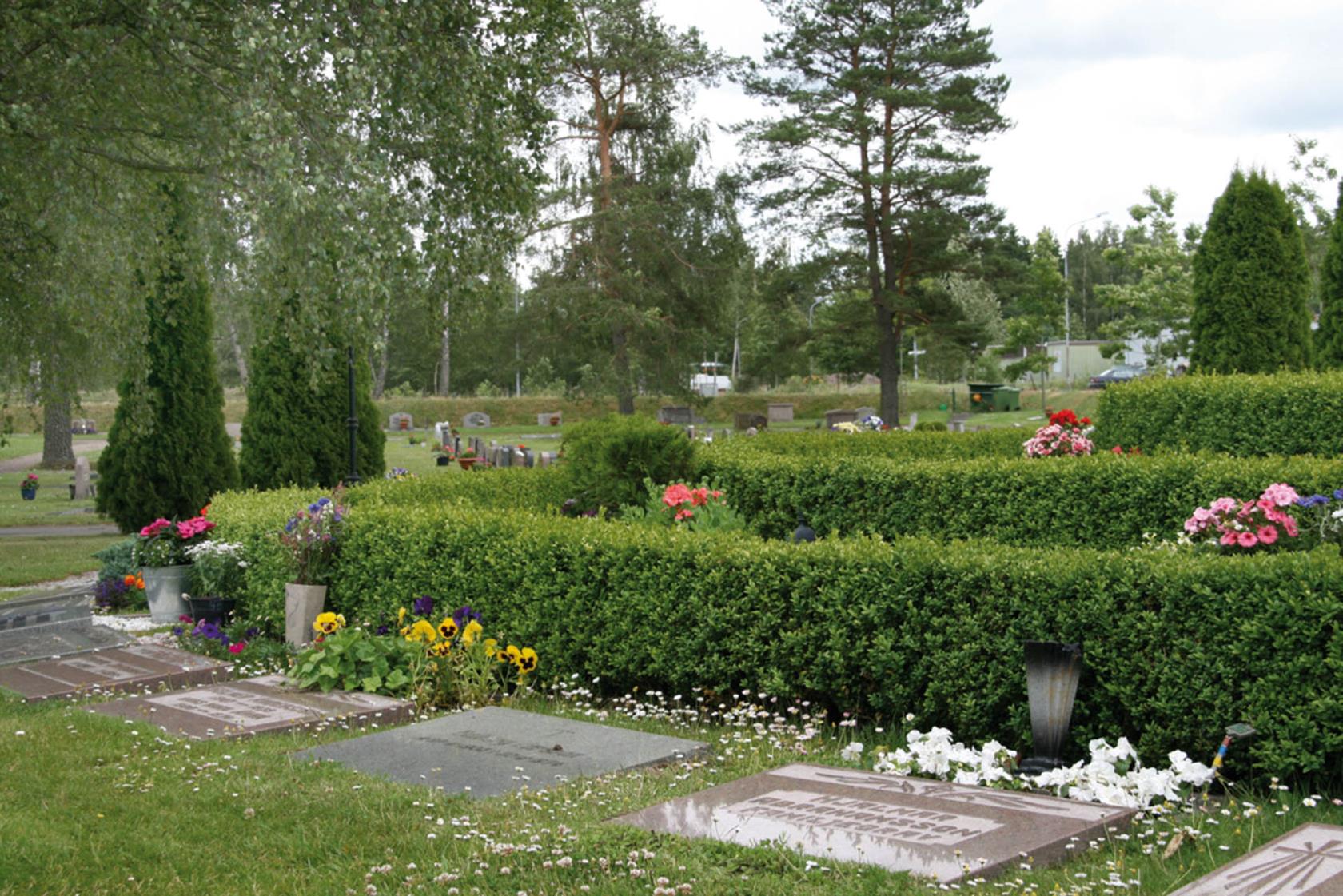 Några gravar på Norra kyrkogården med liggande gravsten, gravarna är så kallade kistgravar, bakom gravstenarna går en låg häck med blommor på och runt omkring syns träd och buskar.