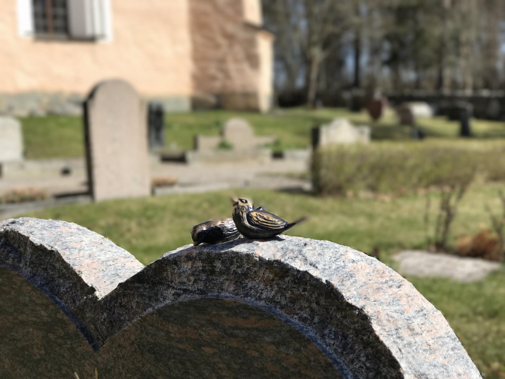 Vacker gravsten på kyrkogård.