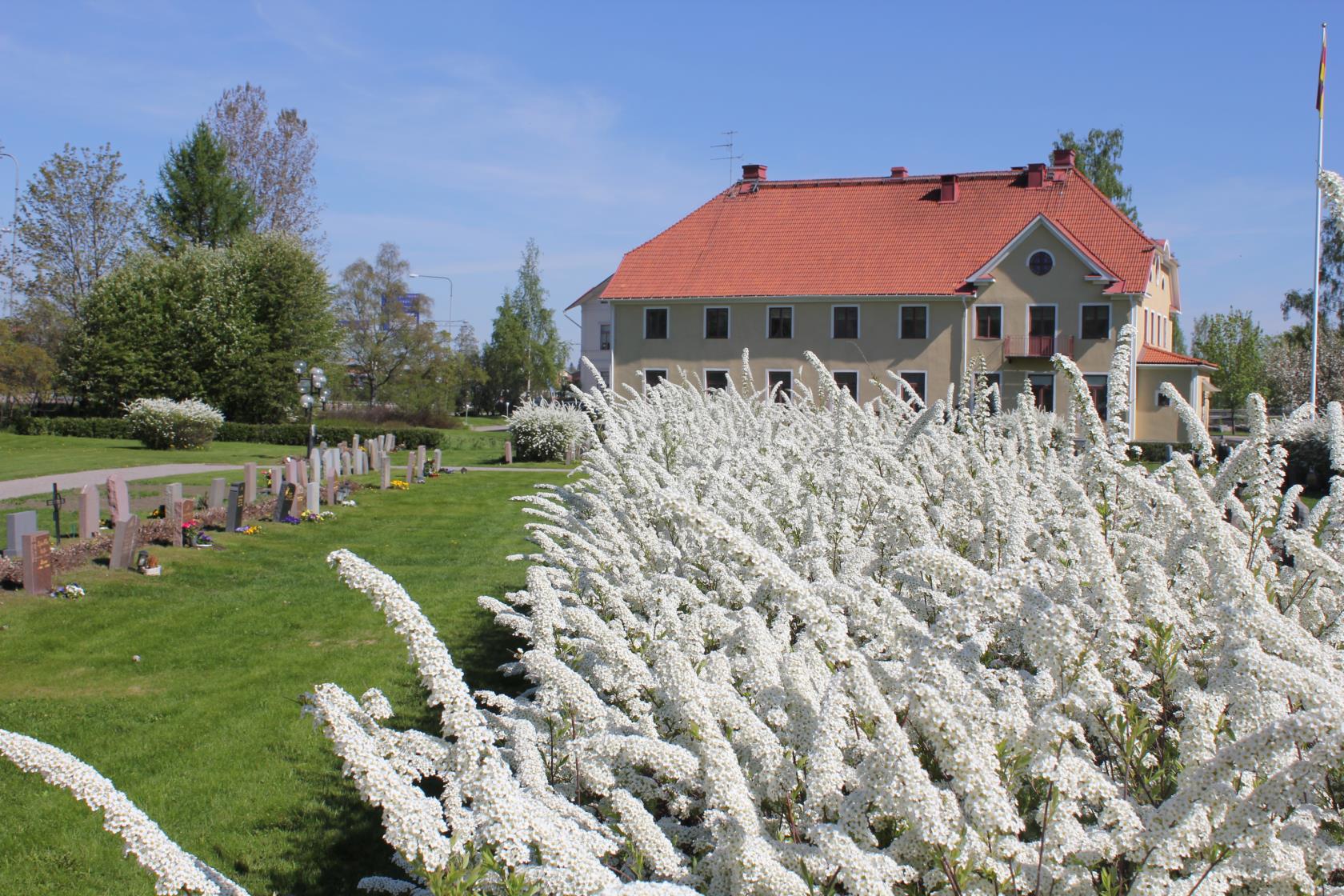 Bollnäs kg fältet