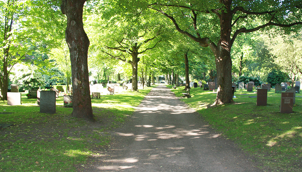 Stampens kyrkogård, trädallé